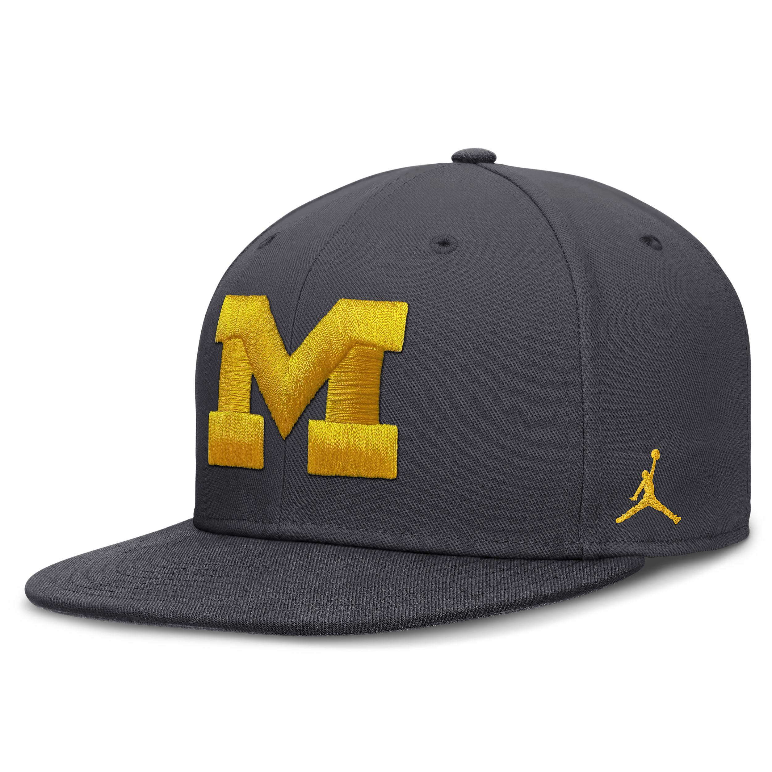 Jordan Men's Nike Anthracite Michigan Wolverines Pro Dri-fit Fitted Hat - Anthracite