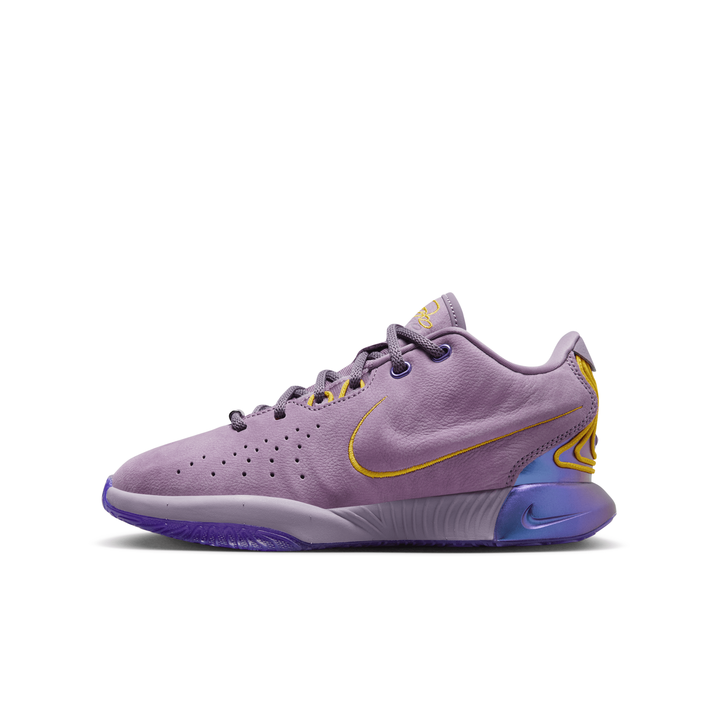 Nike Babies' Lebron Xxi "freshwater" Big Kids' Basketball Shoes In Purple