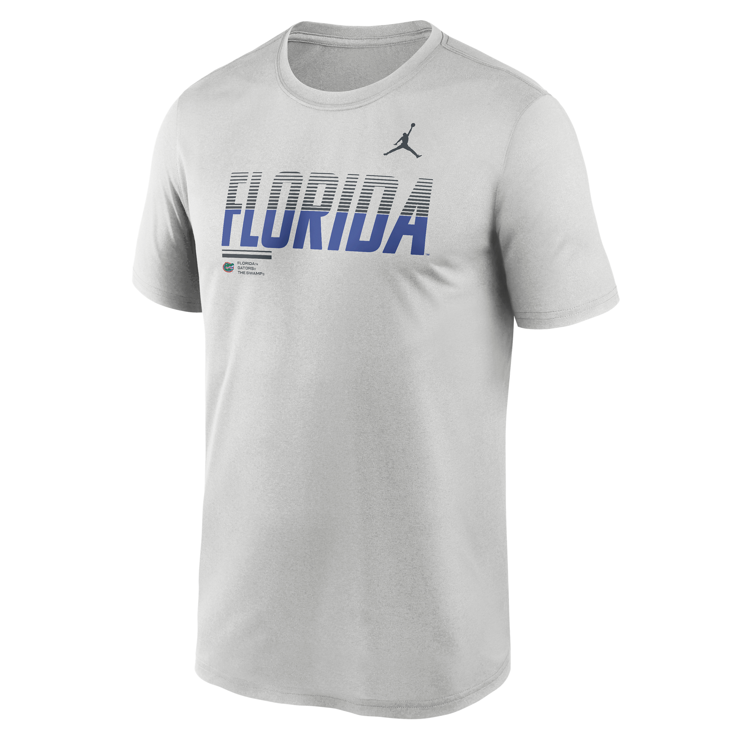 Men's Florida Sideline Legend Jordan Brand Dri-FIT College T-Shirt in Grey | 0JTI0BBUFN-7SB