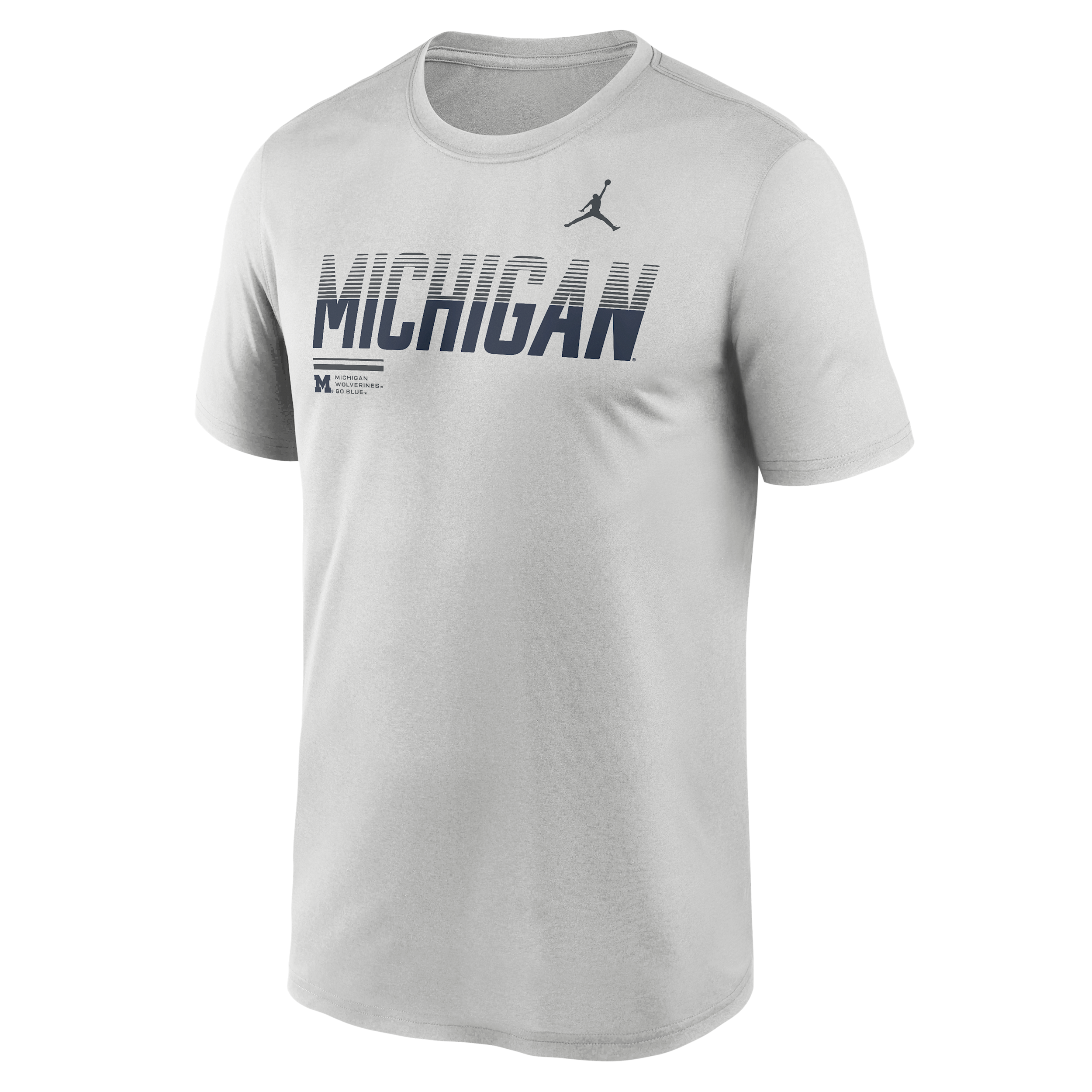 Men's Michigan Sideline Legend Jordan Brand Dri-FIT College T-Shirt in Grey | 0JTI0BBMWN-7SB