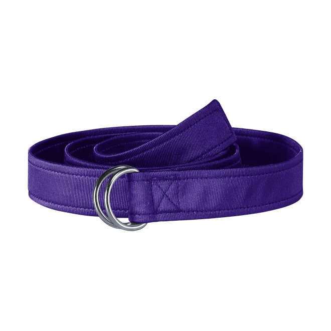 Nike Men's Football Belt (stock) In Purple