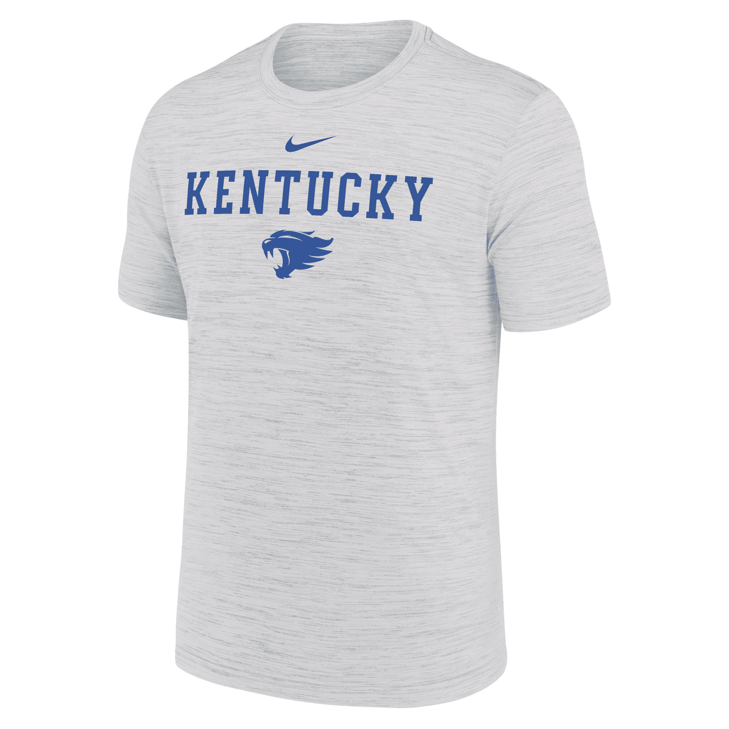 Nike Ash Kentucky Wildcats 2025 Sideline Velocity Performance T-shirt In Gray