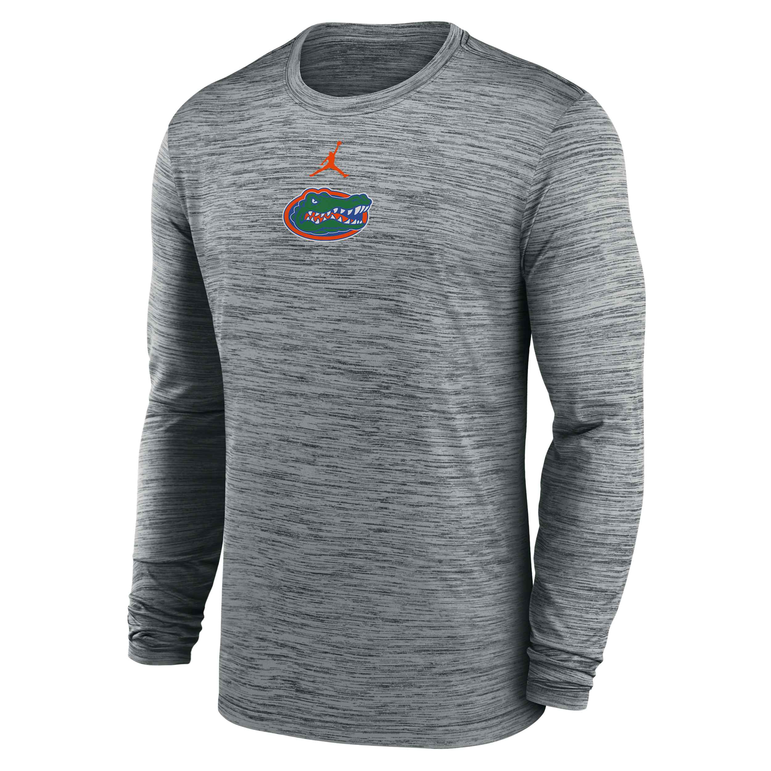 Jordan Men's Florida Sideline Velocity  Brand Dri-fit College Long-sleeve T-shirt In Gray