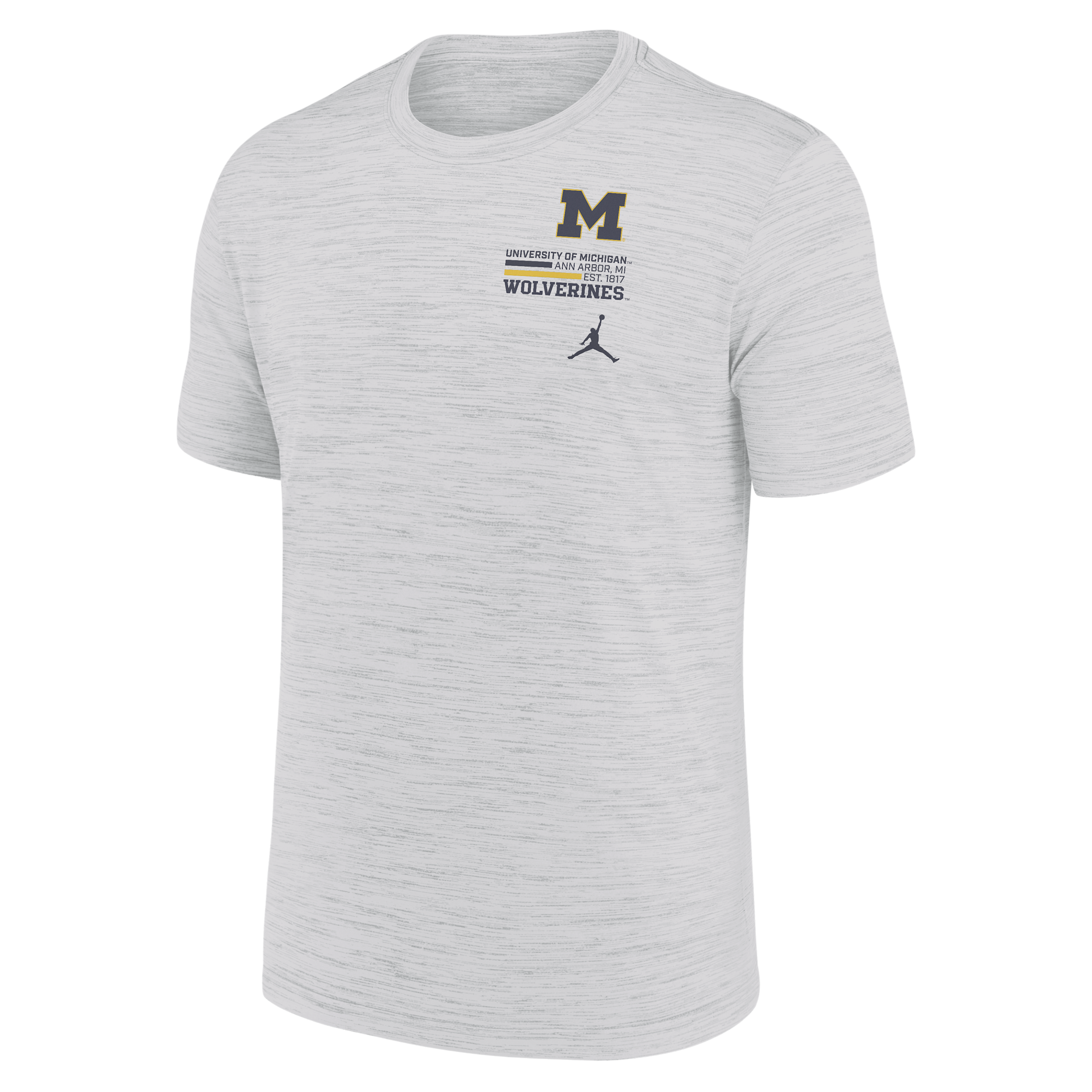 Jordan Michigan Campus Chest Stack Velocity Nike Men's Dri-fit College T-shirt In Animal Print