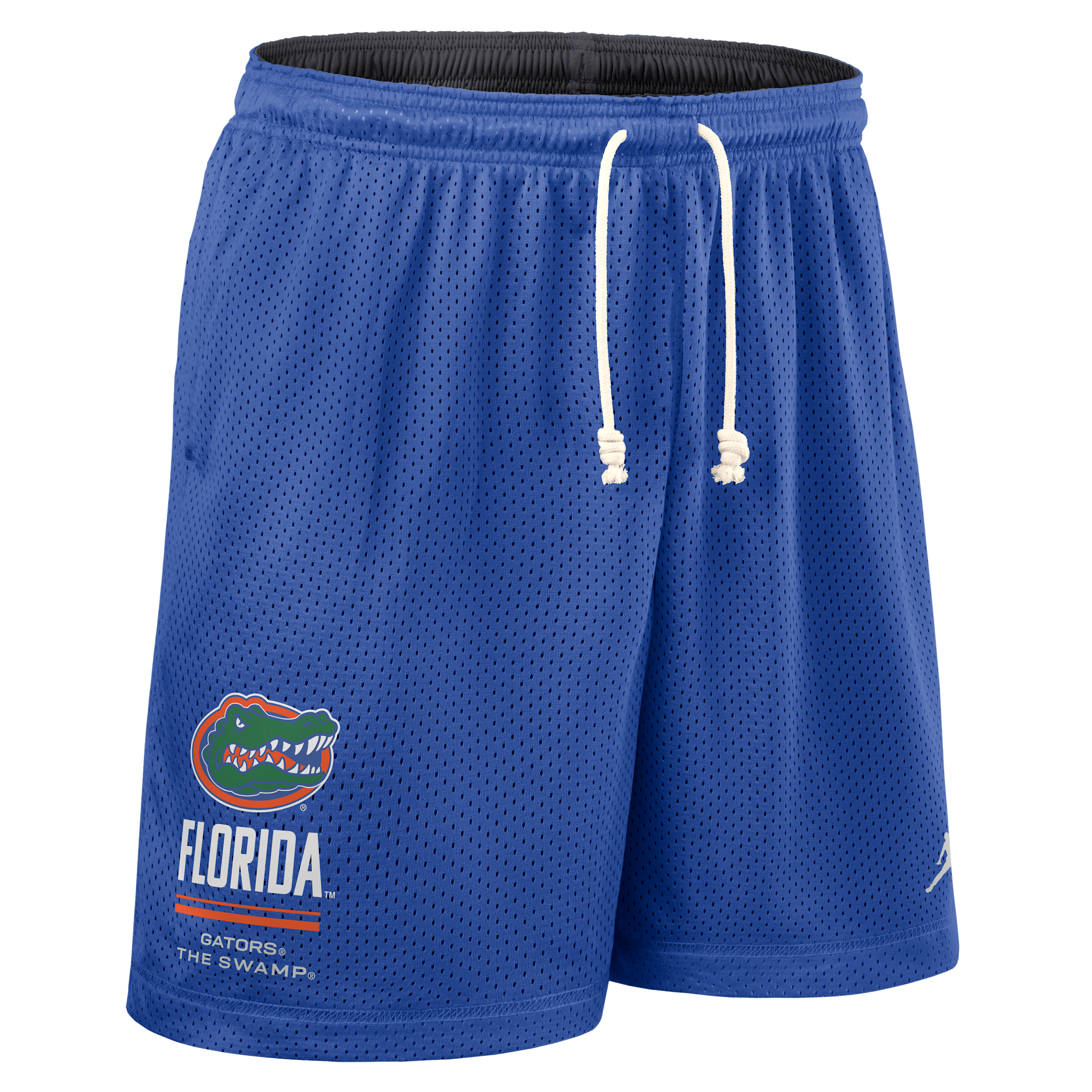 Nike Men's Florida Sideline Reversible Jordan Brand Dri-FIT College Shorts in Blue | 0JBF93JUFN-RJ3