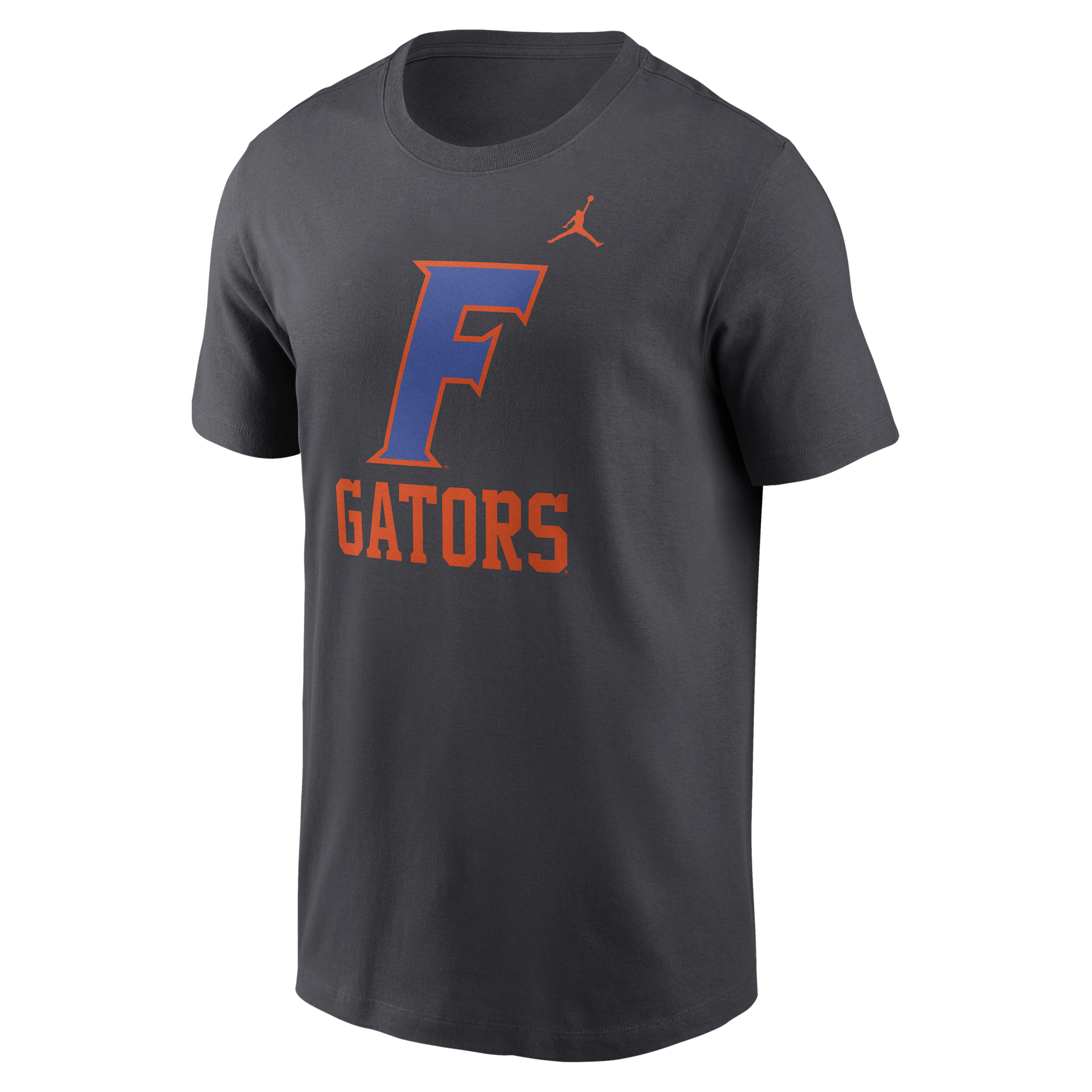 Florida Primetime Logo Mantra Nike Men's College T-Shirt in Grey | N19906FUFN-BX7