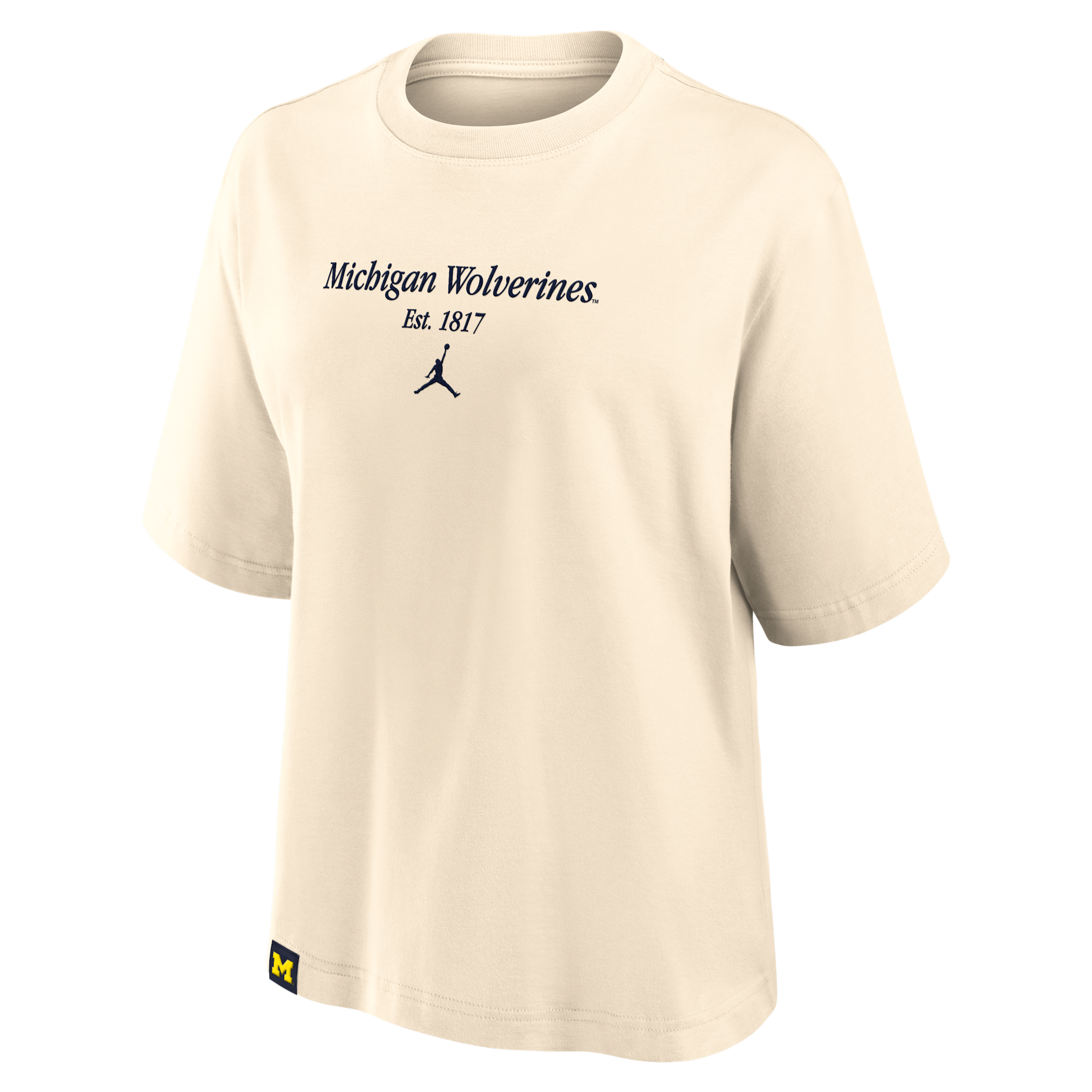 Jordan Women's Michigan Established Tag Boxy  Brand College T-shirt In Brown
