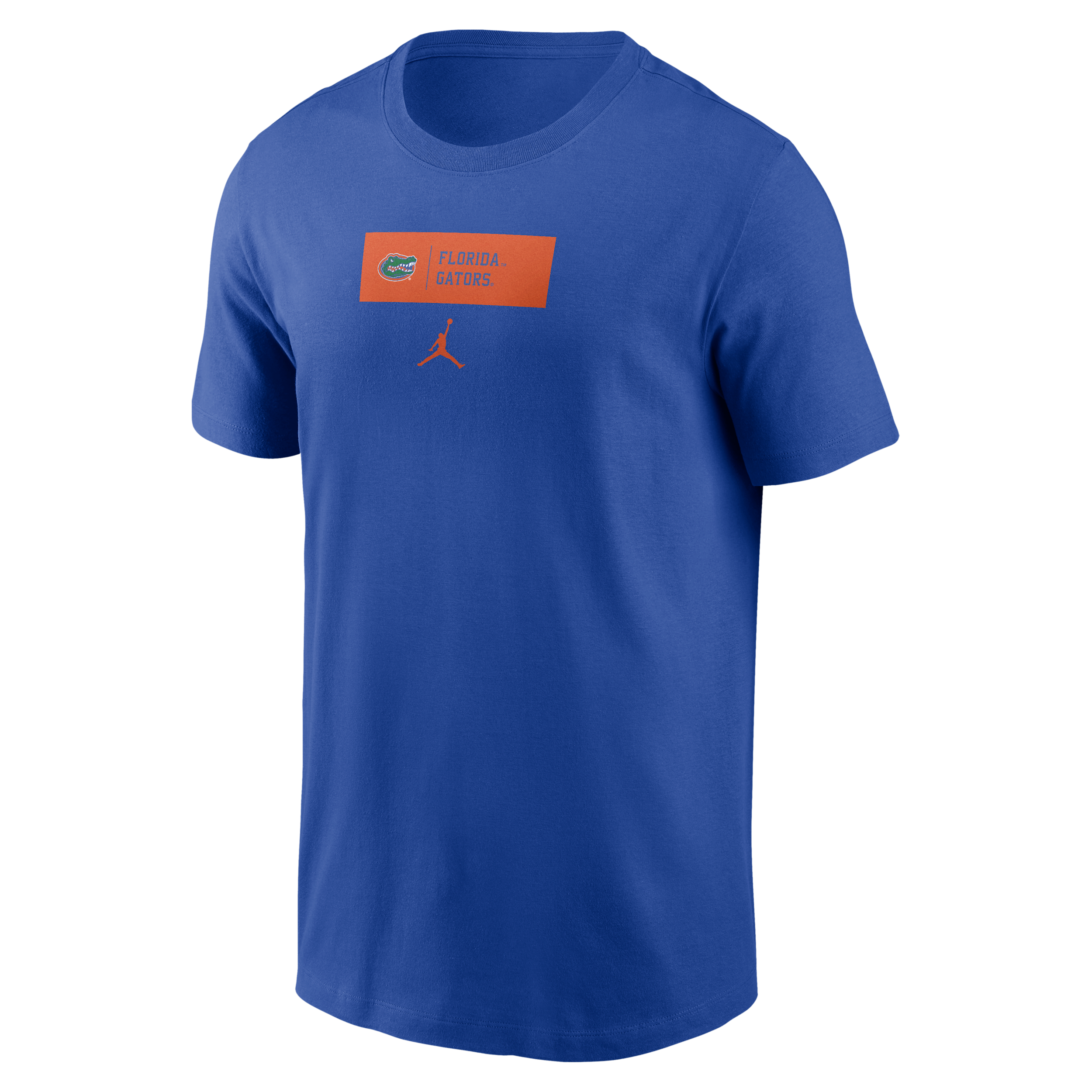 Men's Florida Primetime Seasonal Jordan Brand College T-Shirt in Blue | N1994EVUFN-BWY