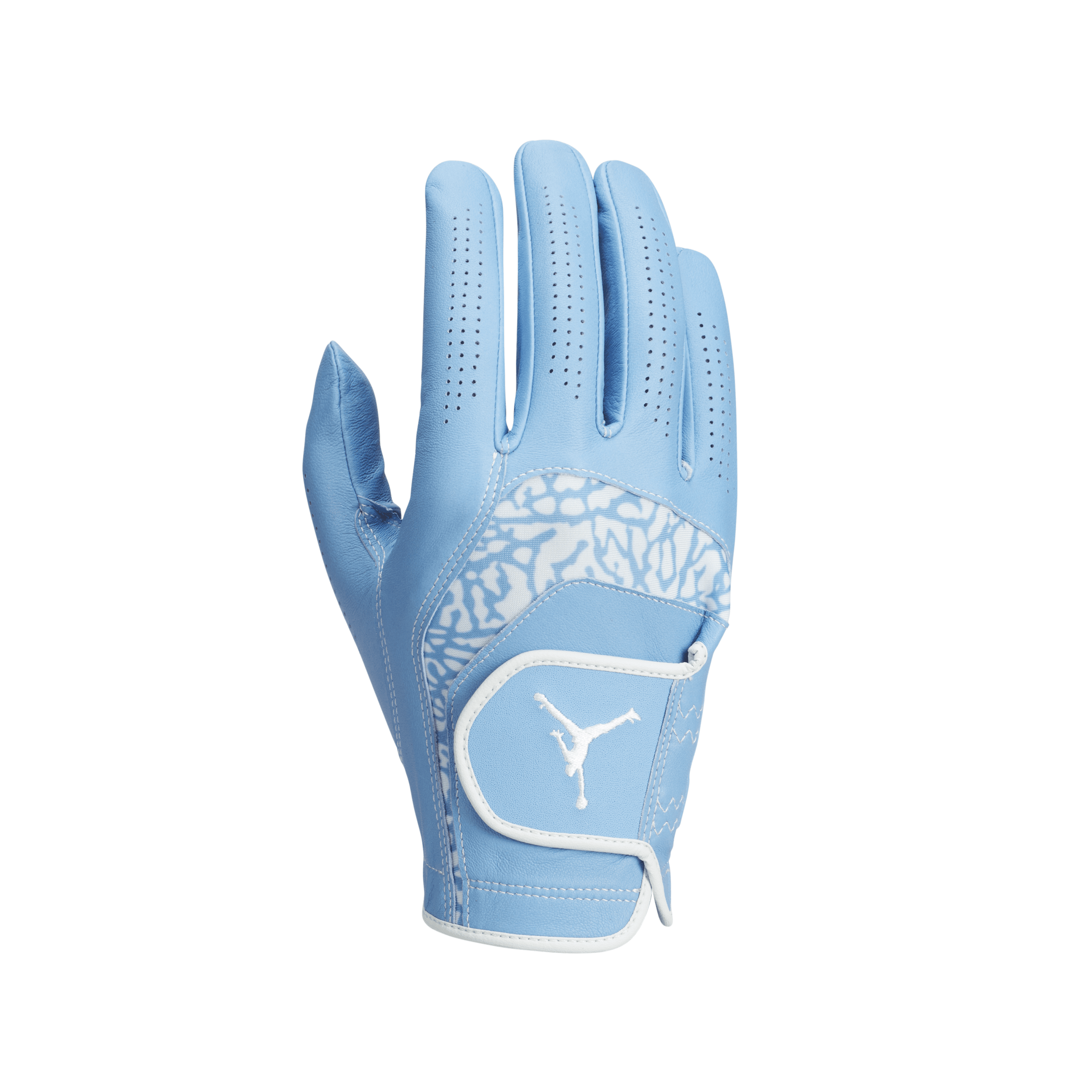 Jordan Tour Regular Golf Glove (Right) in Blue | J1008923-477