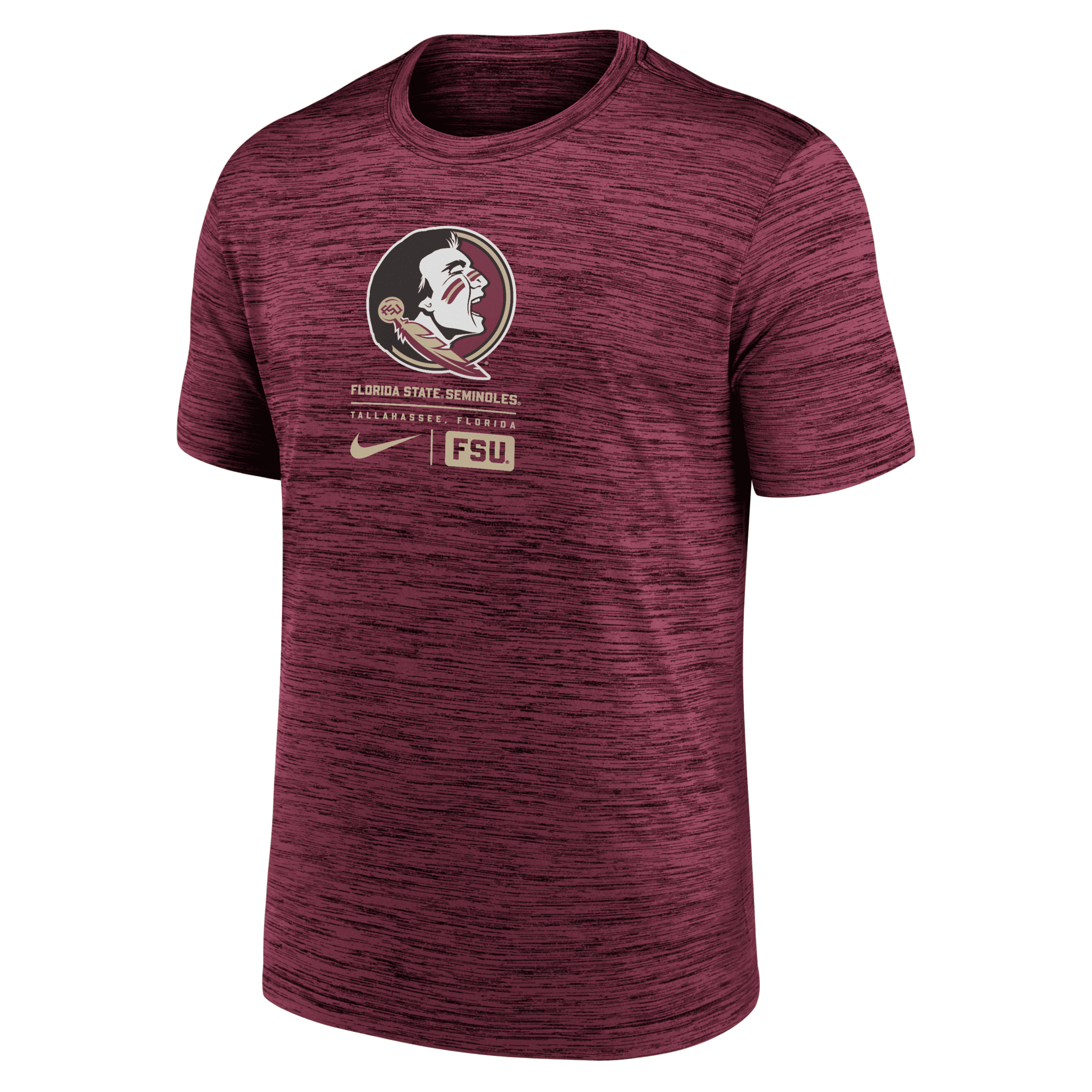 Nike Florida State Seminoles Campus Center Block Velocity  Men's Dri-fit College T-shirt In Red