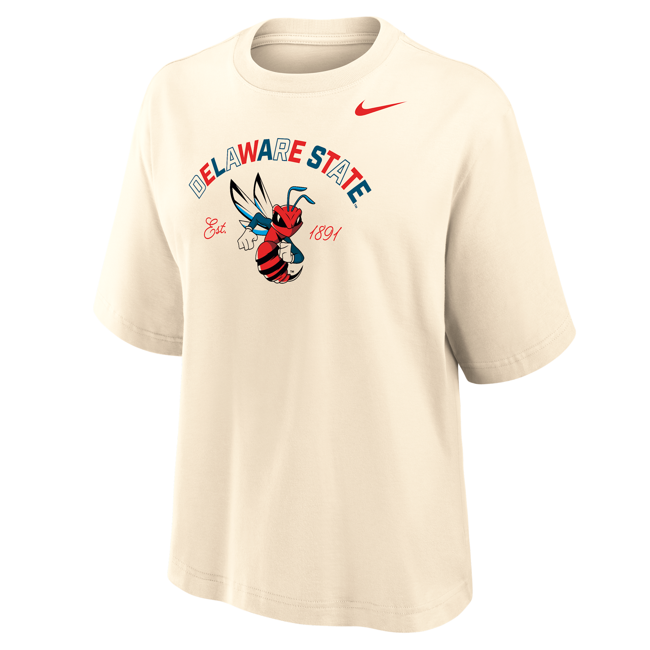 Nike Women's College (delaware State) Boxy Cotton T-shirt In Brown