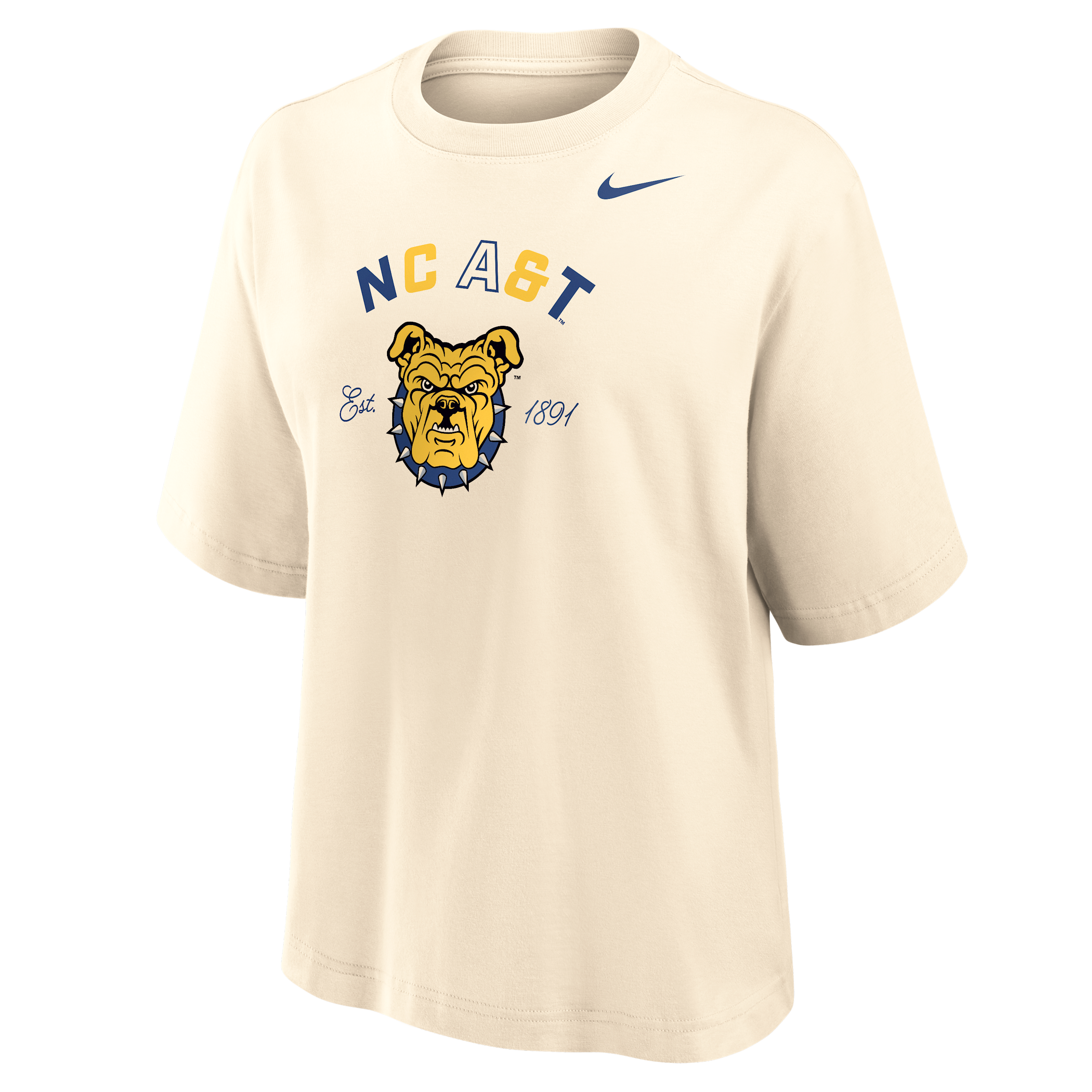 Nike Women's College (north Carolina A&t University) Boxy Cotton T-shirt In Neutral