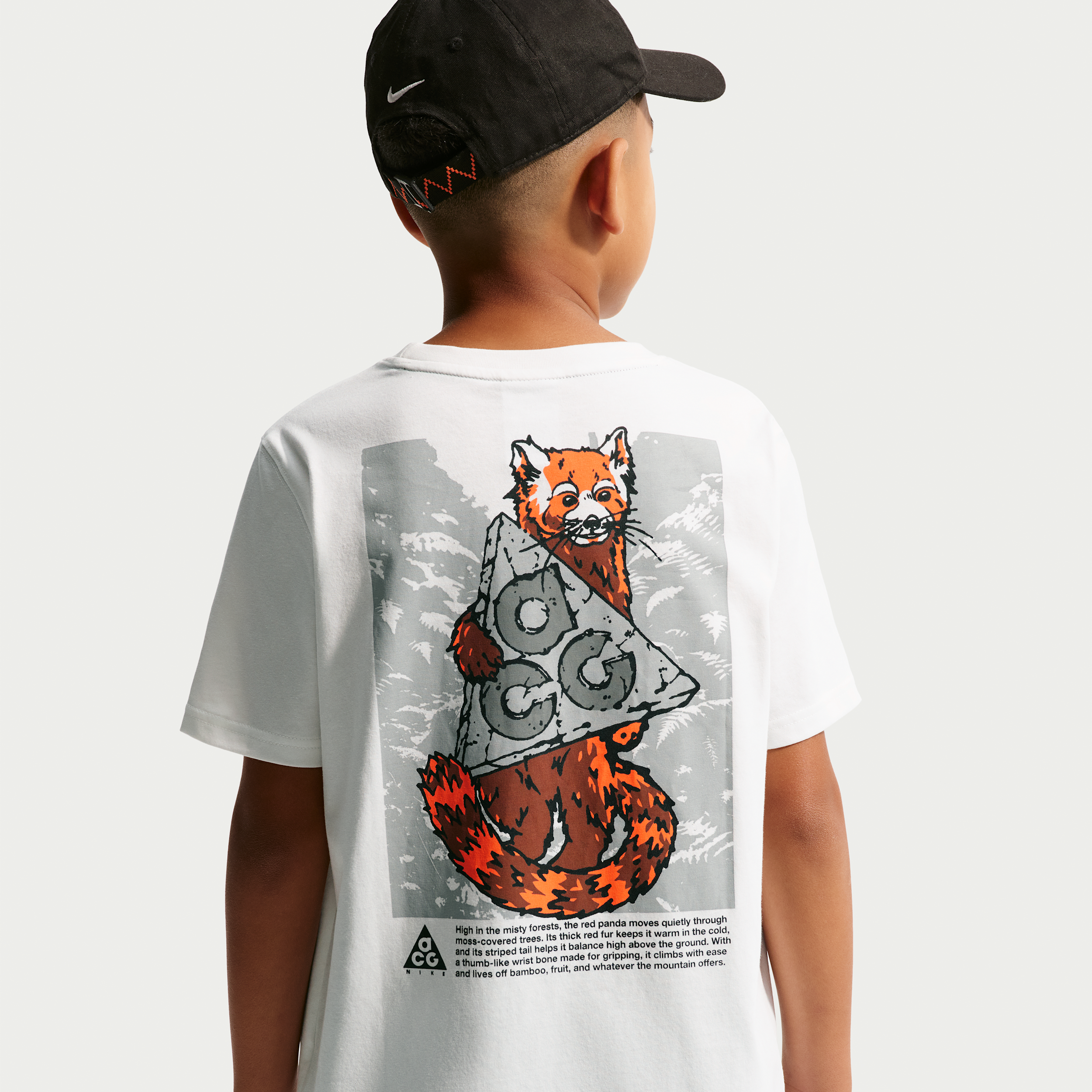 Nike ACG Big Kids' Dri-FIT Red Panda T-Shirt in White | 9WCA95-W56