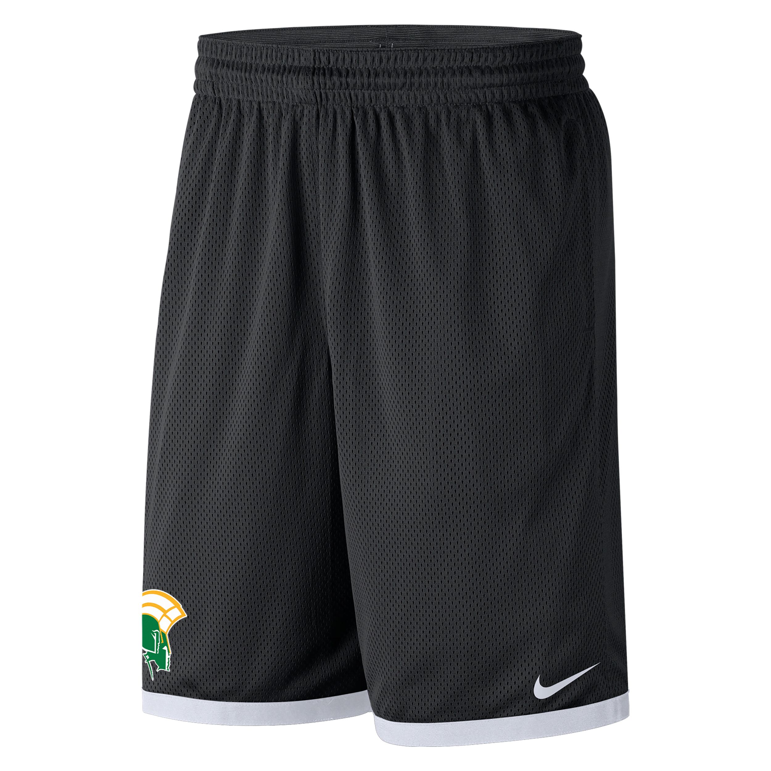 Nike Norfolk State  Men's College Mesh Shorts In Black