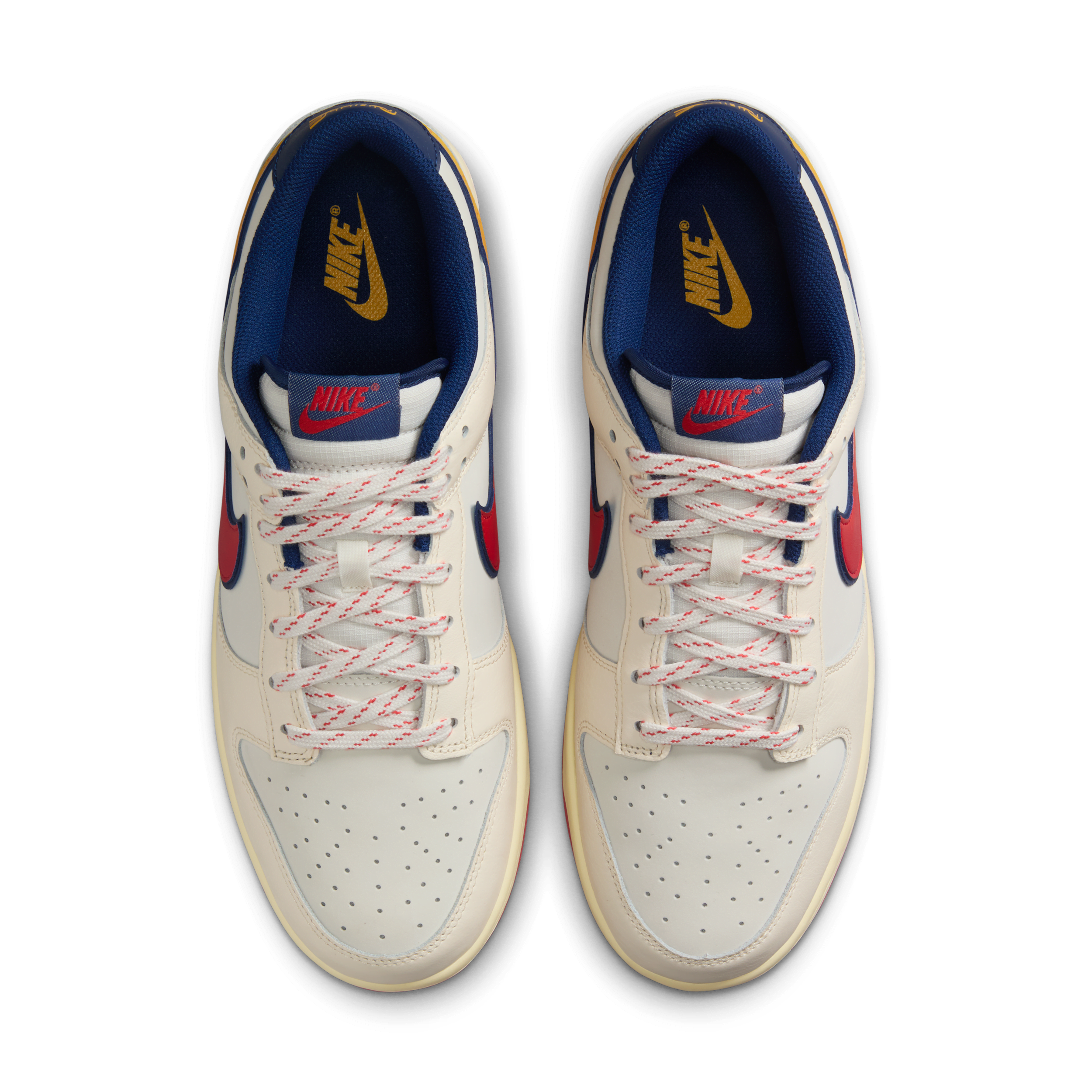 Chaussure Nike Dunk Low Retro SE pour homme - Marron