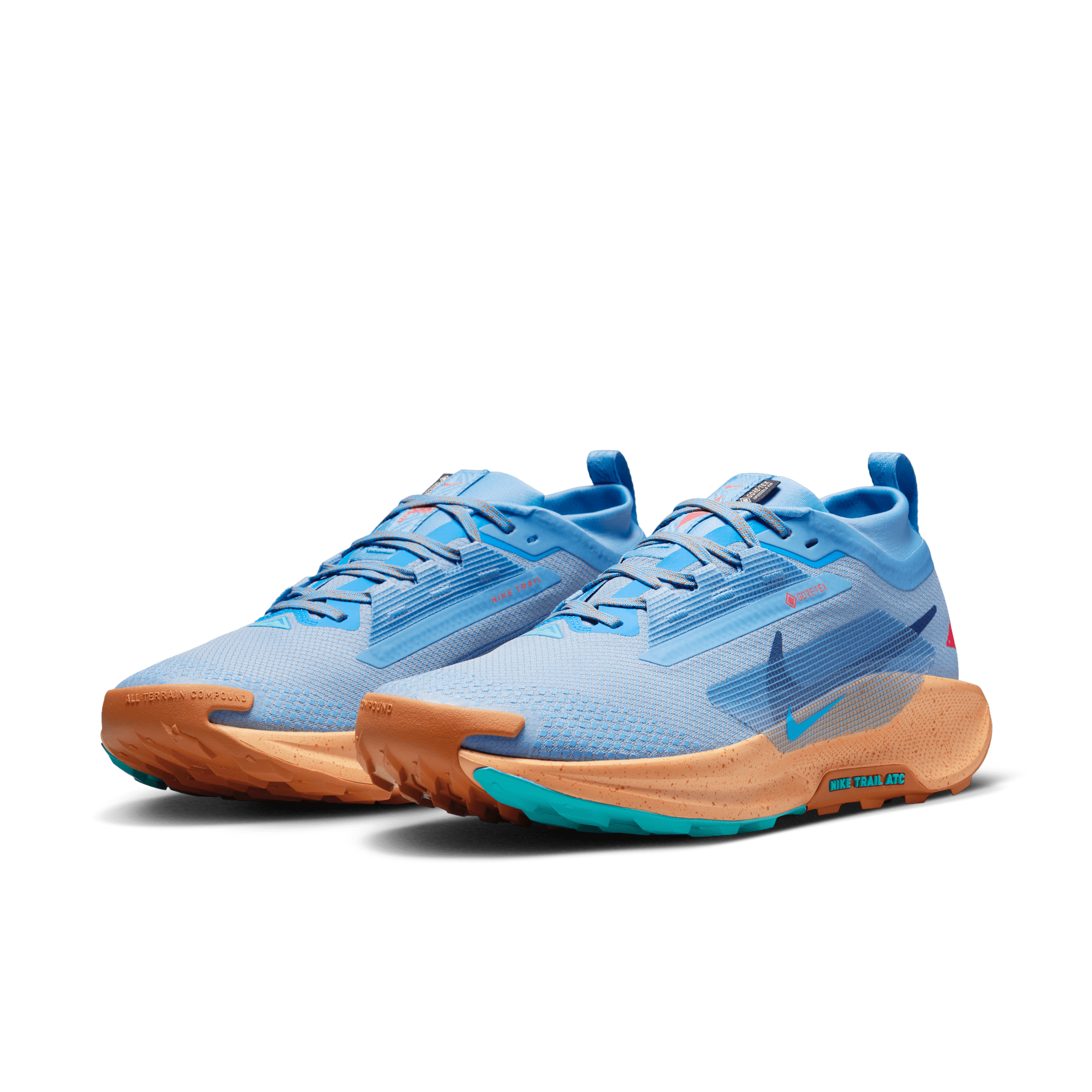 Chaussure de trail imperméable Nike Pegasus Trail 5 GORE-TEX pour homme - Bleu