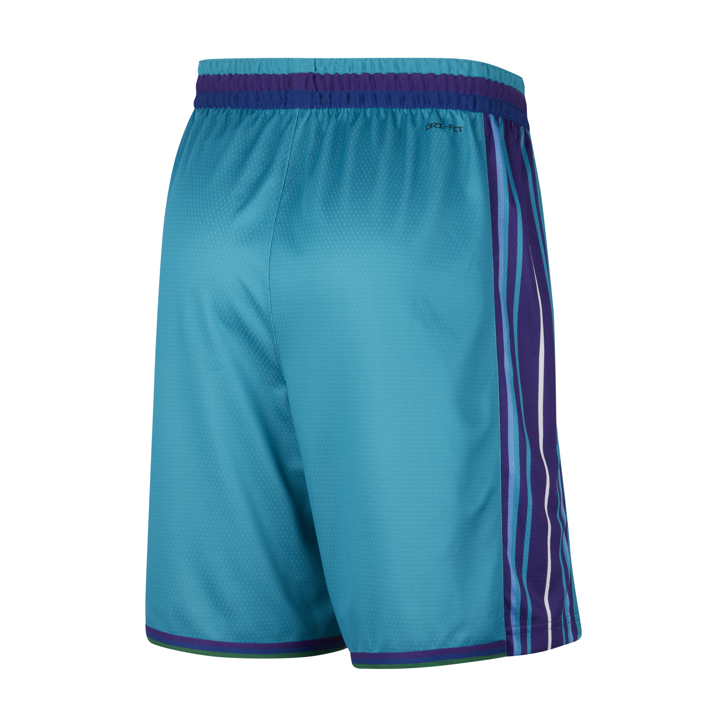 Nike Charlotte Hornets Hardwood Classics 2023 24 Swingman Dri-FIT NBA-herenshorts Blauw