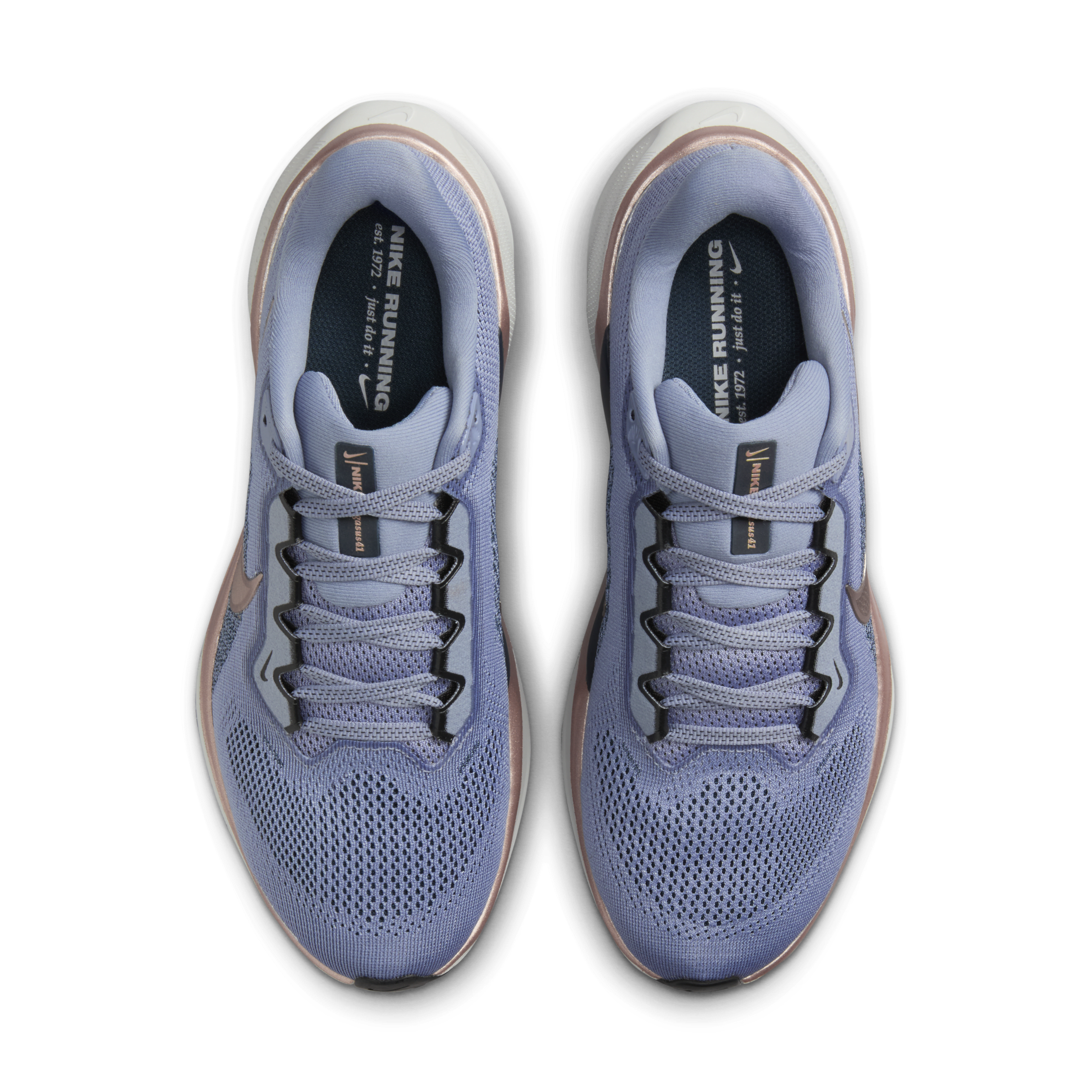 Chaussure de running sur route Nike Pegasus 41 pour femme - Bleu