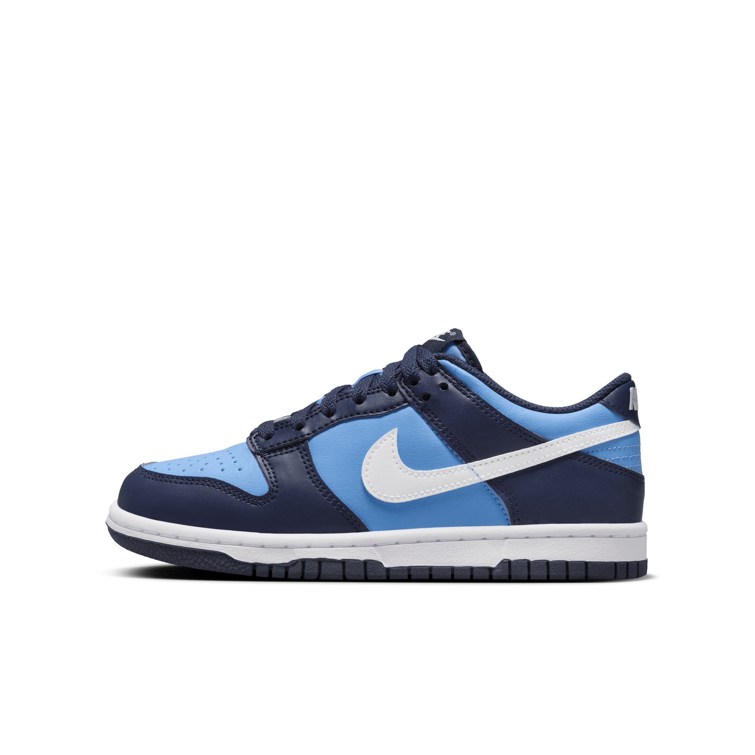 Chaussure Nike Dunk Low pour ado - Bleu