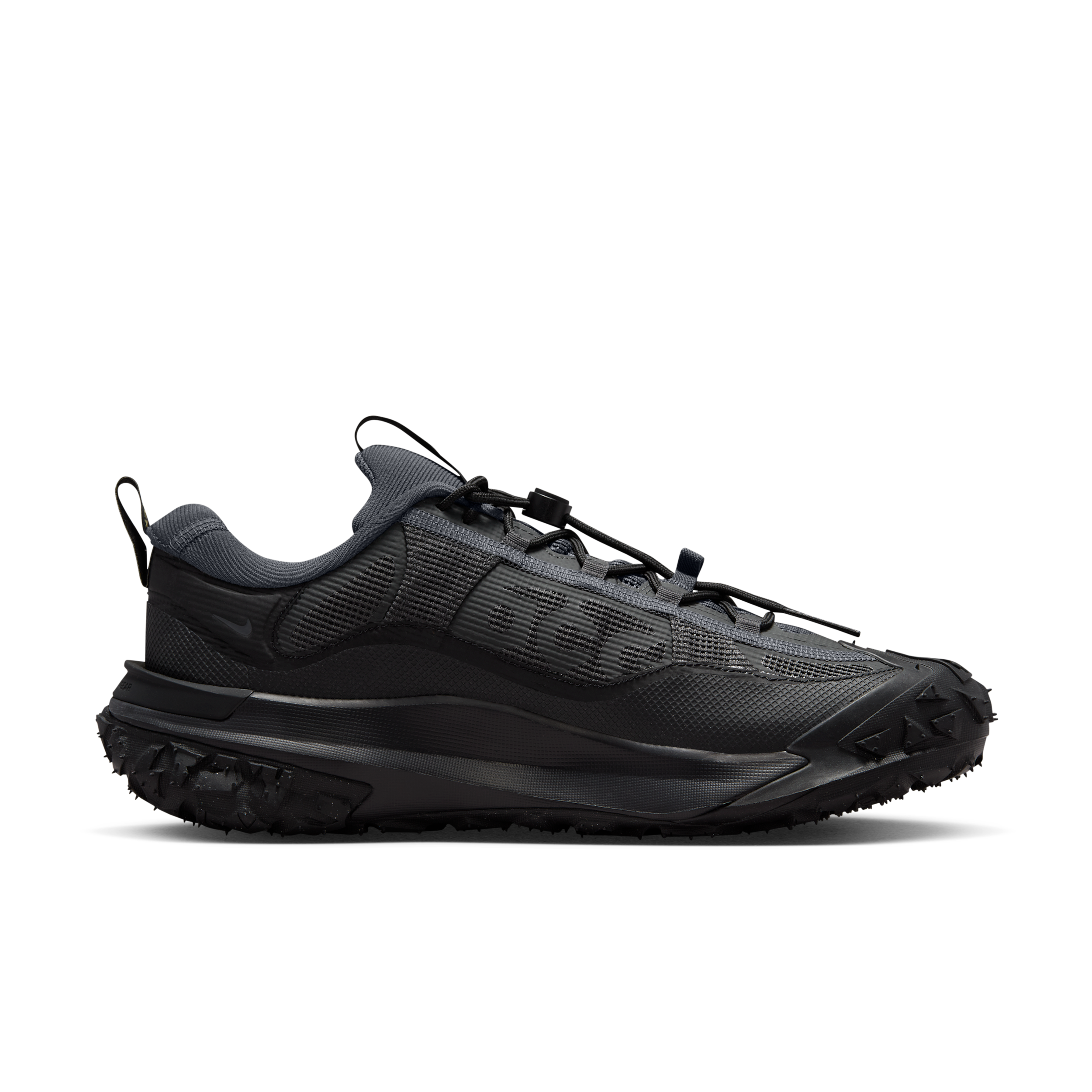 Nike ACG Mountain Fly 2 Low GORE-TEX herresko - Grå - HF6245-001