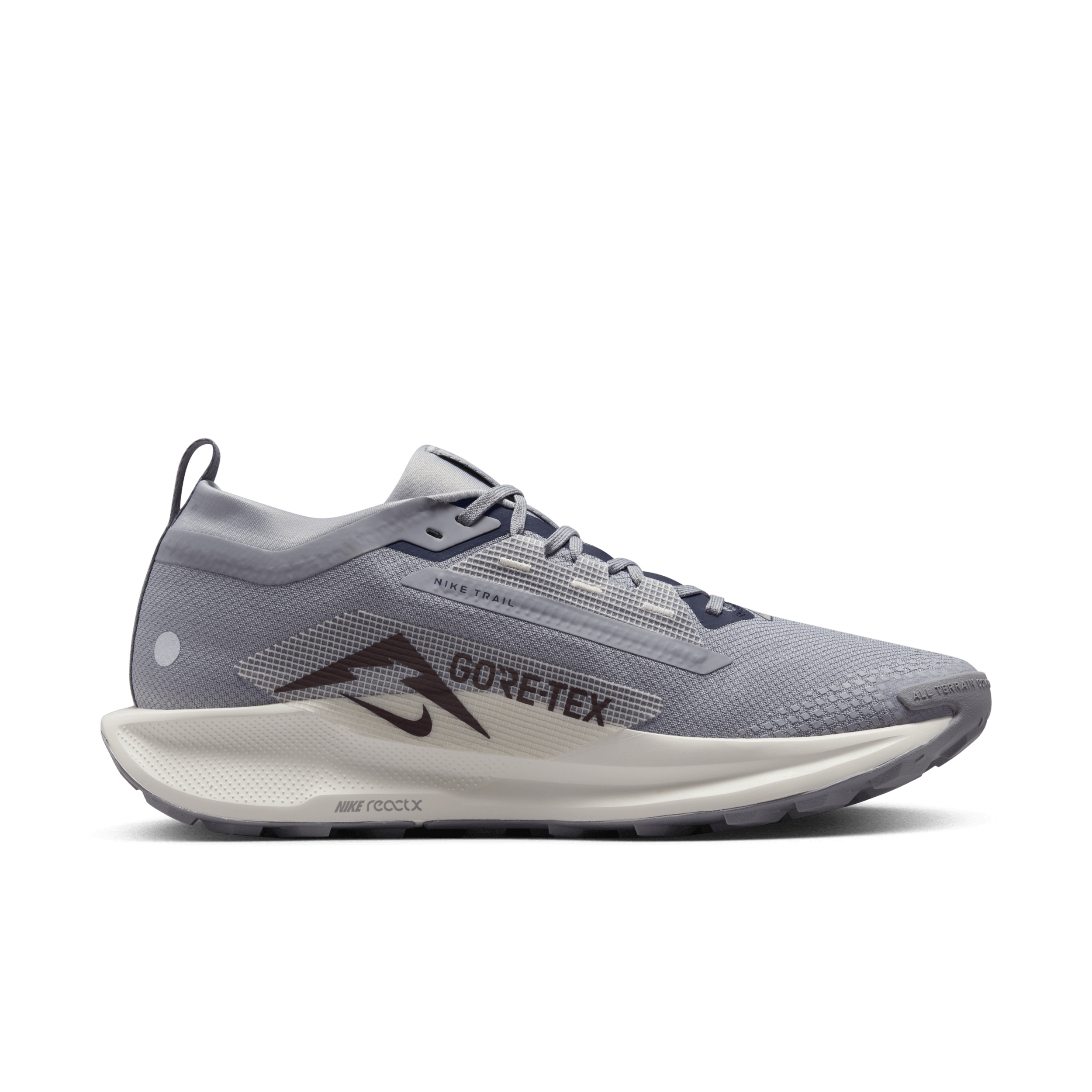 Chaussure de trail imperméable Nike Pegasus Trail 5 GORE-TEX pour homme - Gris