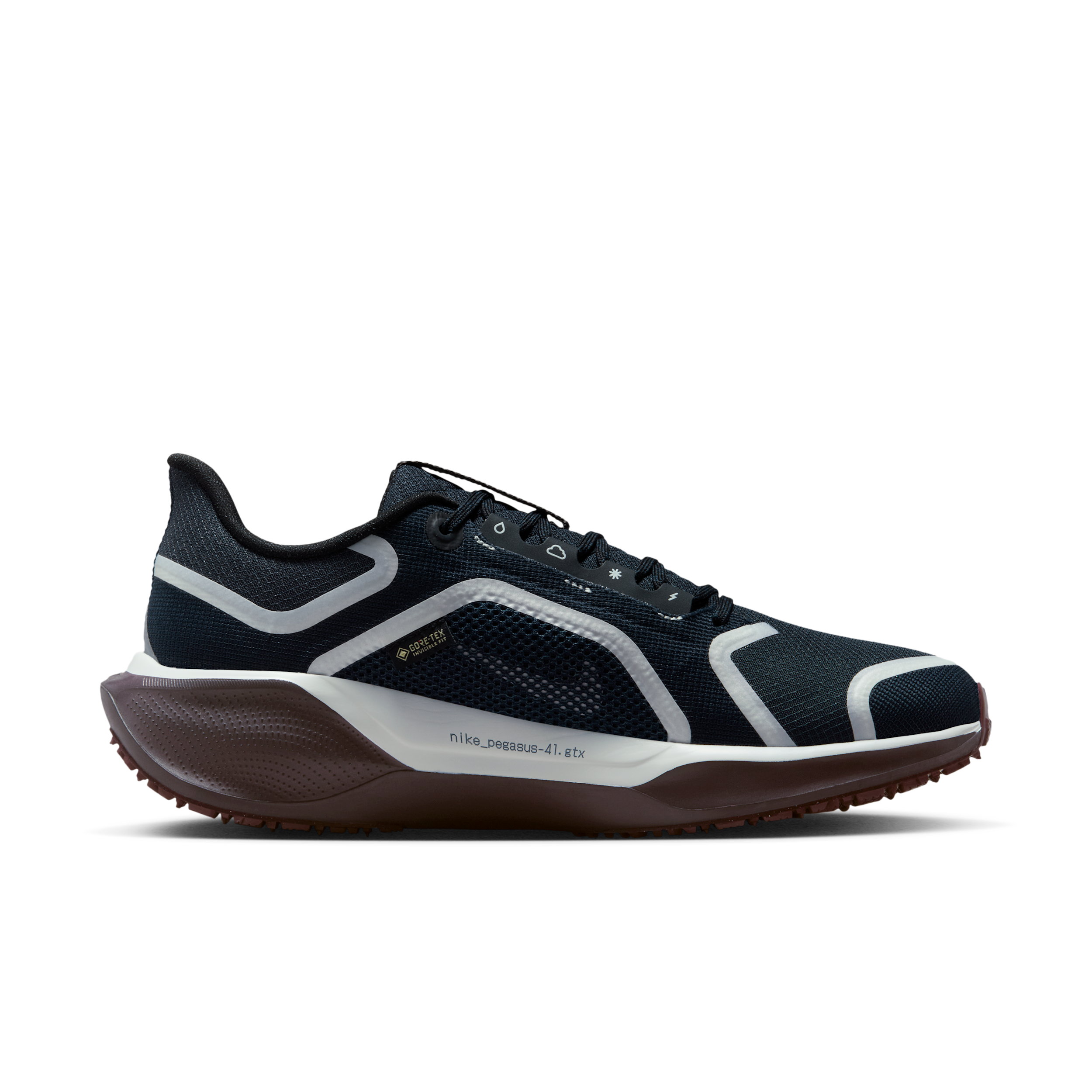 Nike Air Zoom Pegasus 41 Gore-Tex Dark Obsidian Anthracite Pure Platinum (Women's) - FQ1357-401