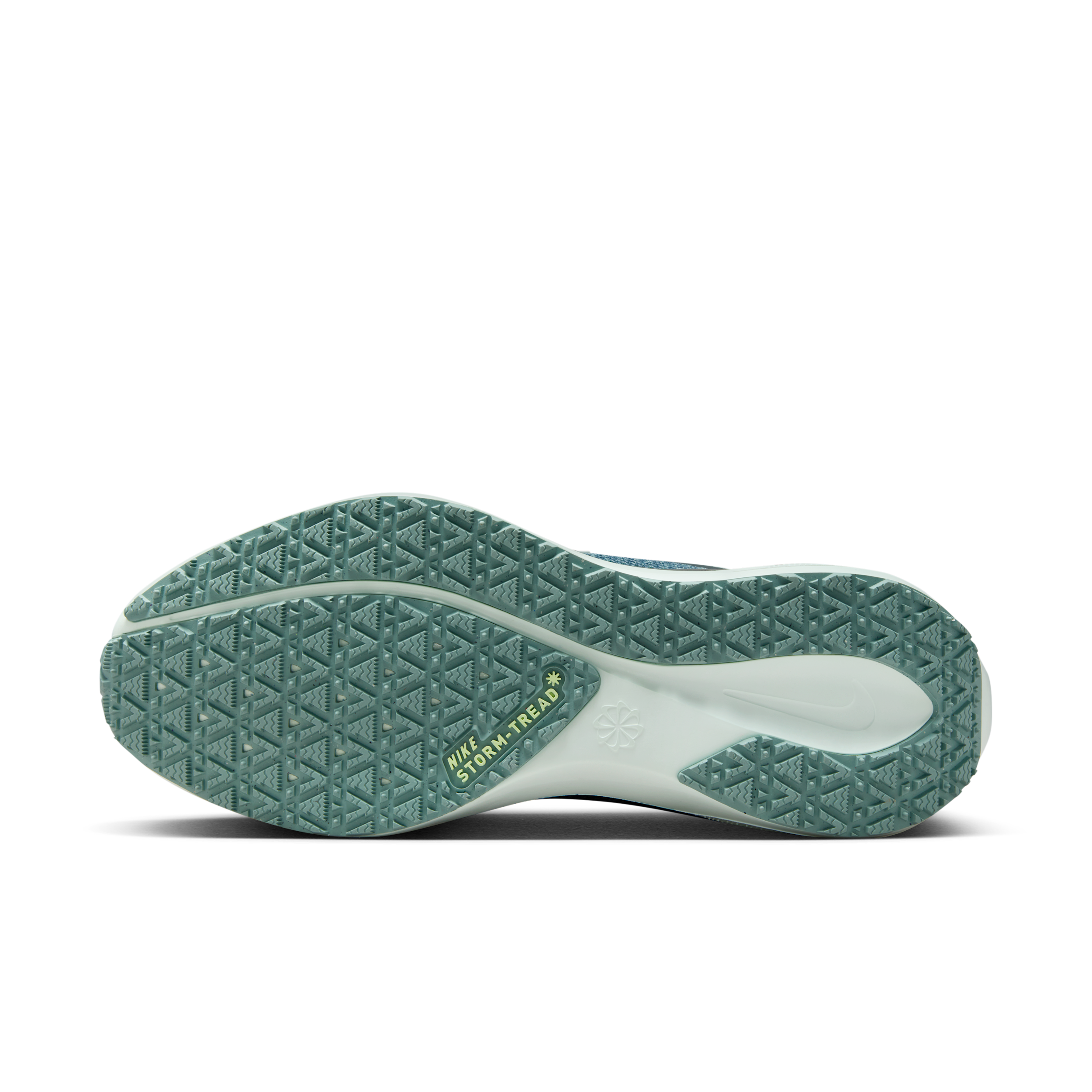 Vandtætte Nike Pegasus 41 GORE-TEX-løbesko til vej til kvinder - grøn - FQ1357-003