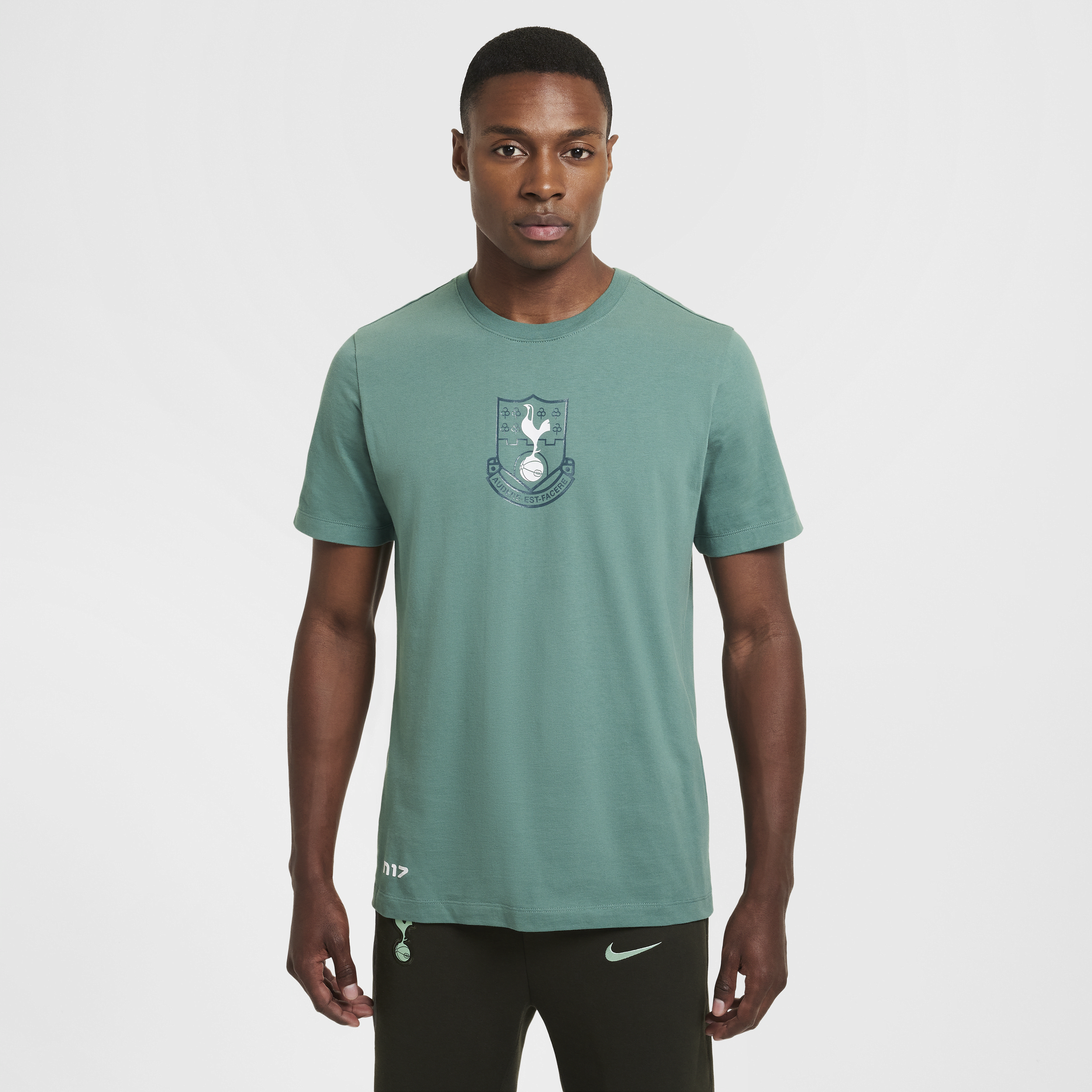 T-shirt Nike Football Tottenham Hotspur Heritage pour homme - Vert
