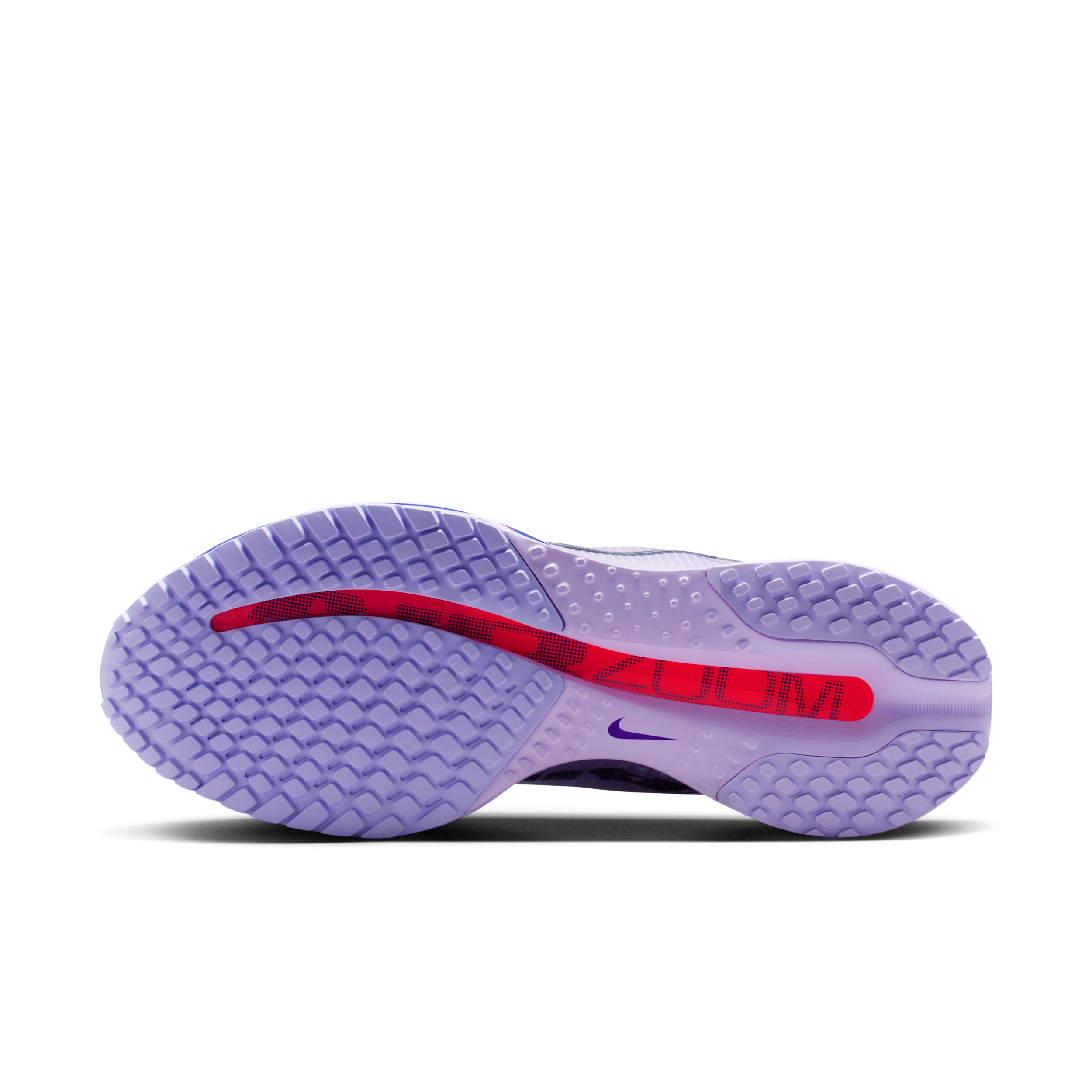 Nike Pegasus Premium-løbesko til vej til kvinder - lilla - HQ2593-500