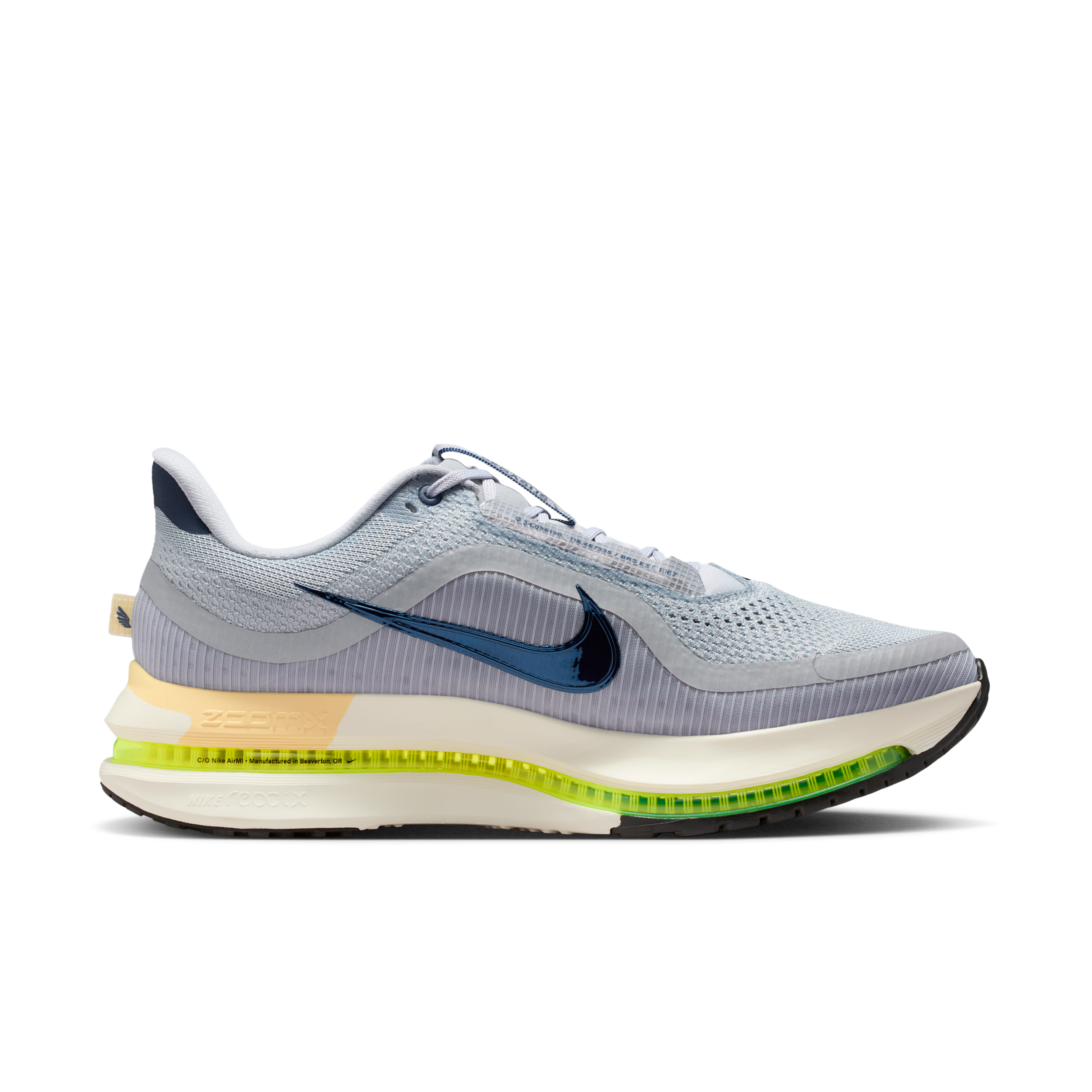 Nike Pegasus Premium-løbesko til vej til mænd - grå - IR1815-012
