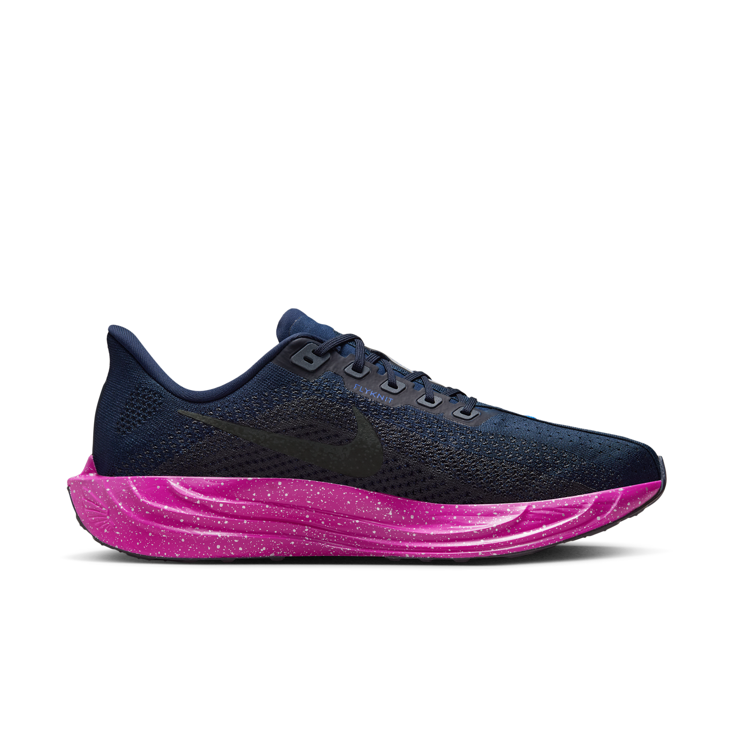 Nike Pegasus Plus SE løpesko for vei til herre - Blå - IB5696-400