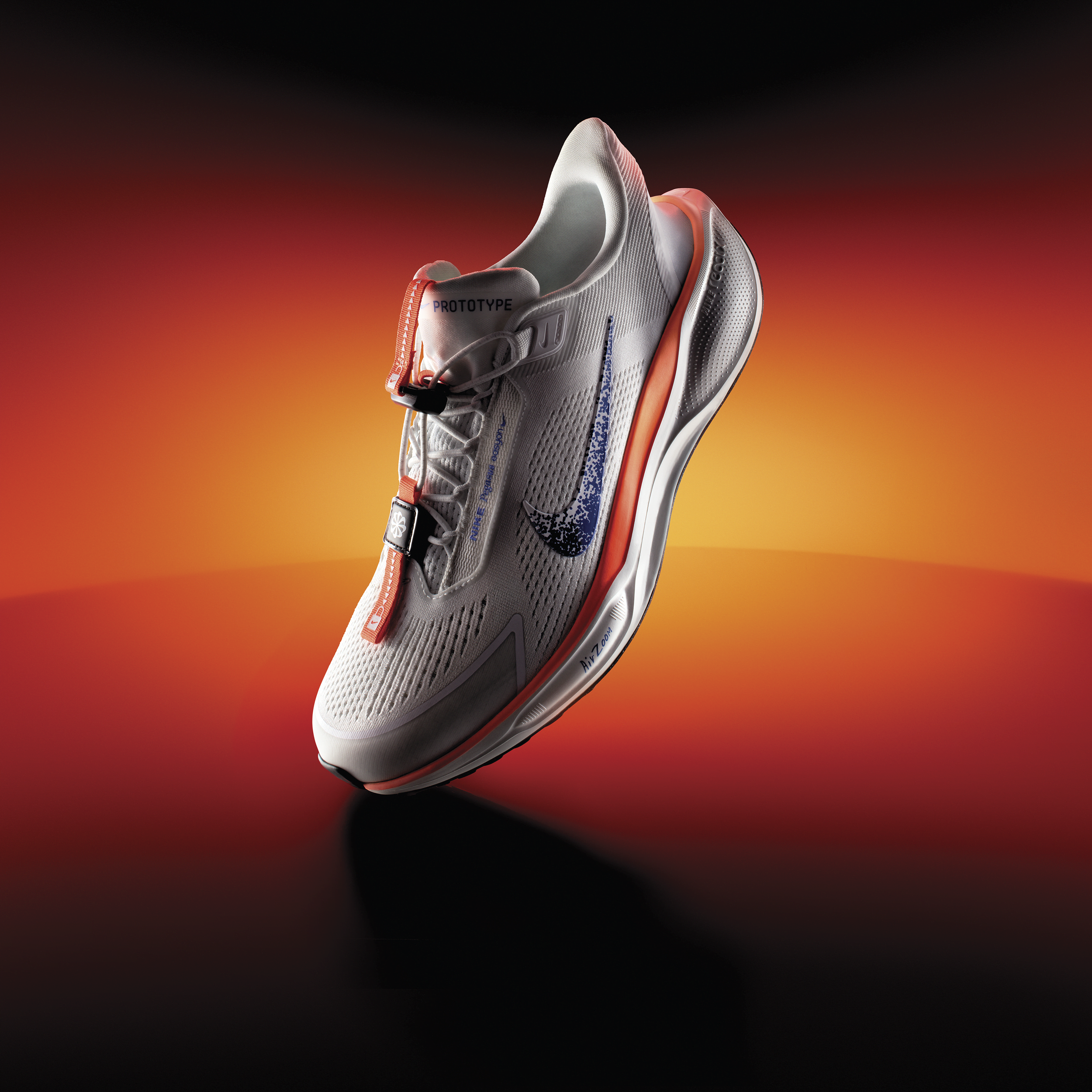 Nike Pegasus EasyOn Blueprint Men's Road Running Shoes - Multi-Colour