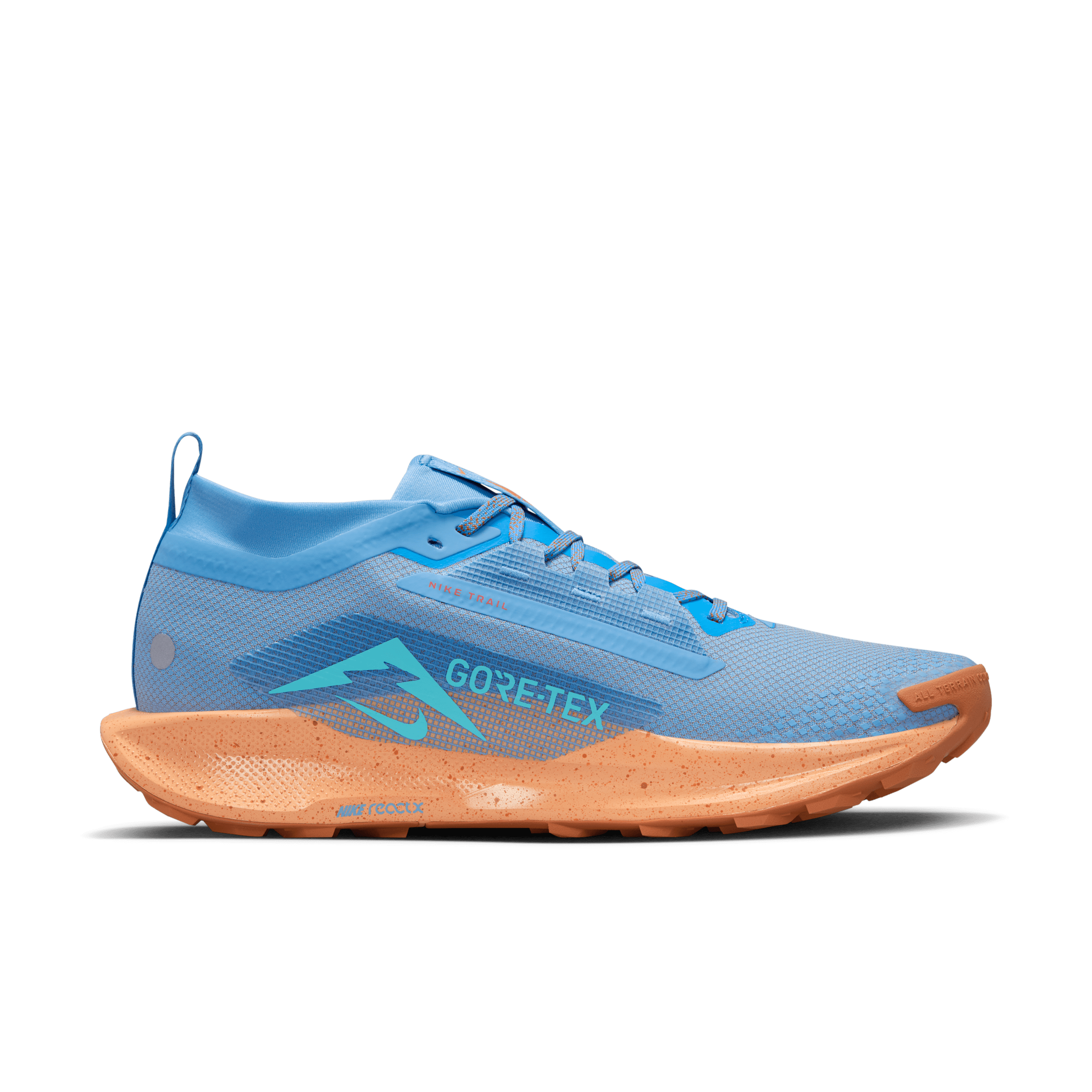 Chaussure de trail imperméable Nike Pegasus Trail 5 GORE-TEX pour homme - Bleu