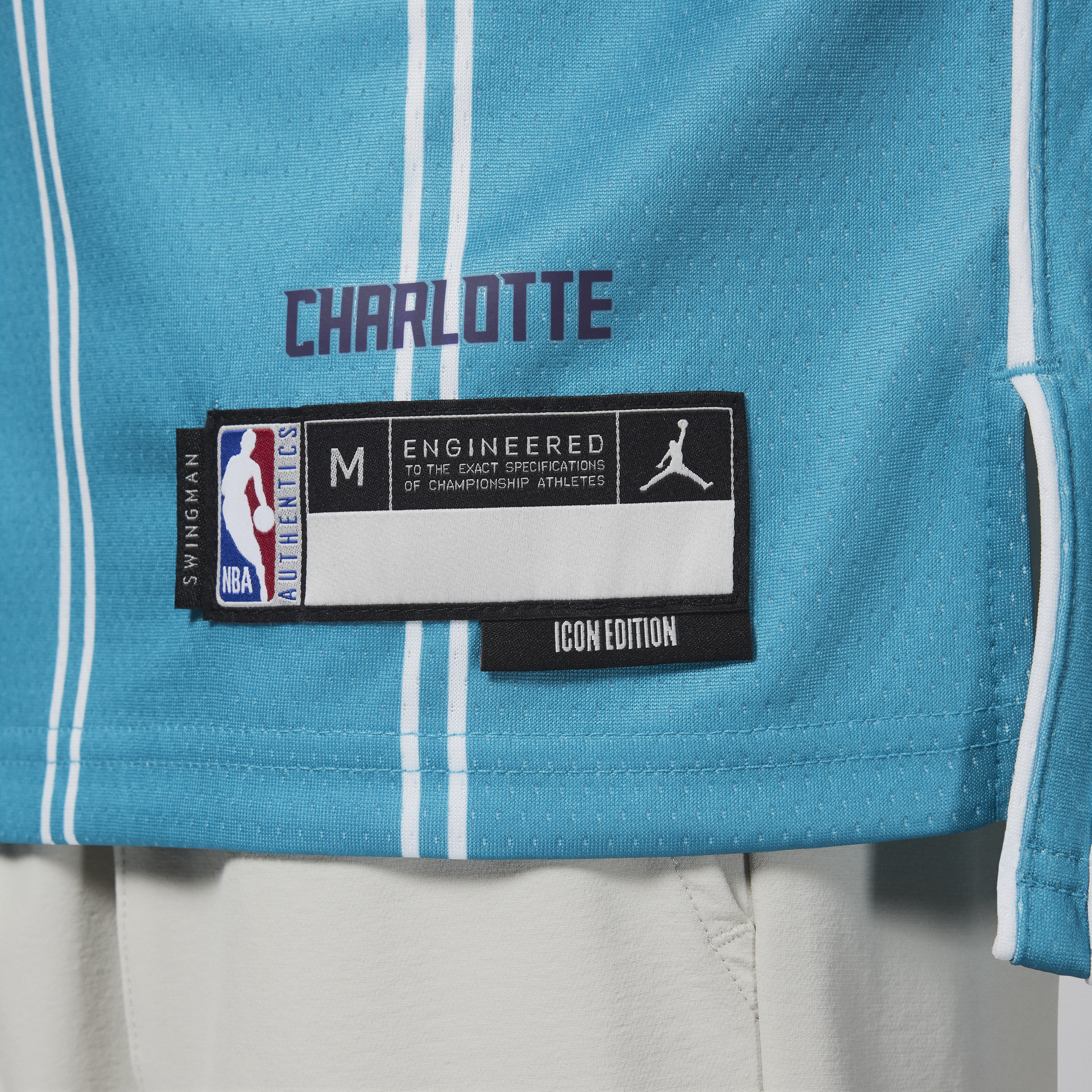 Nike Charlotte Hornets 2023 24 Icon Edition Swingman Dri-FIT NBA-jersey voor jongens Blauw