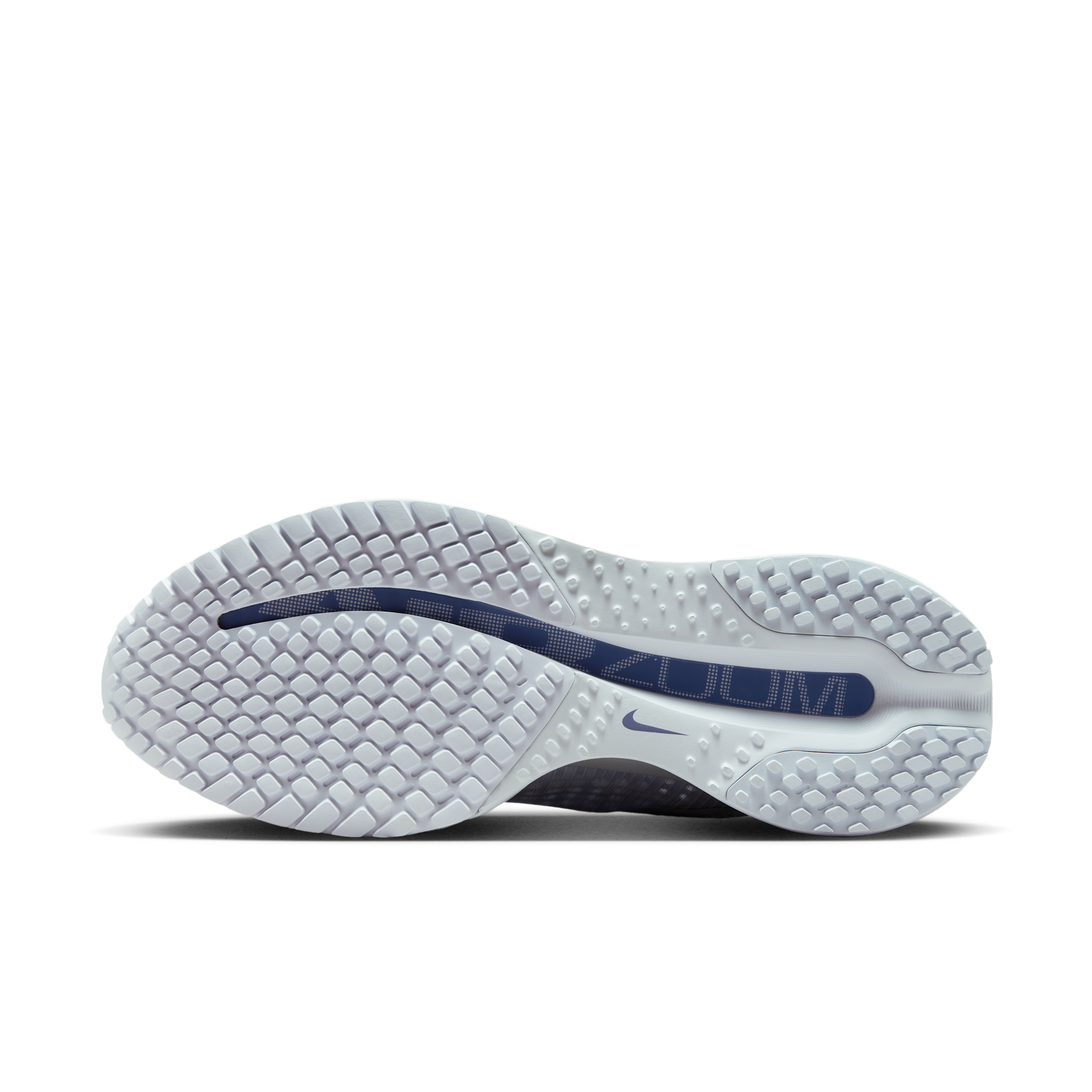 Nike Pegasus Premium-løbesko til vej til kvinder - grå - HQ2593-006