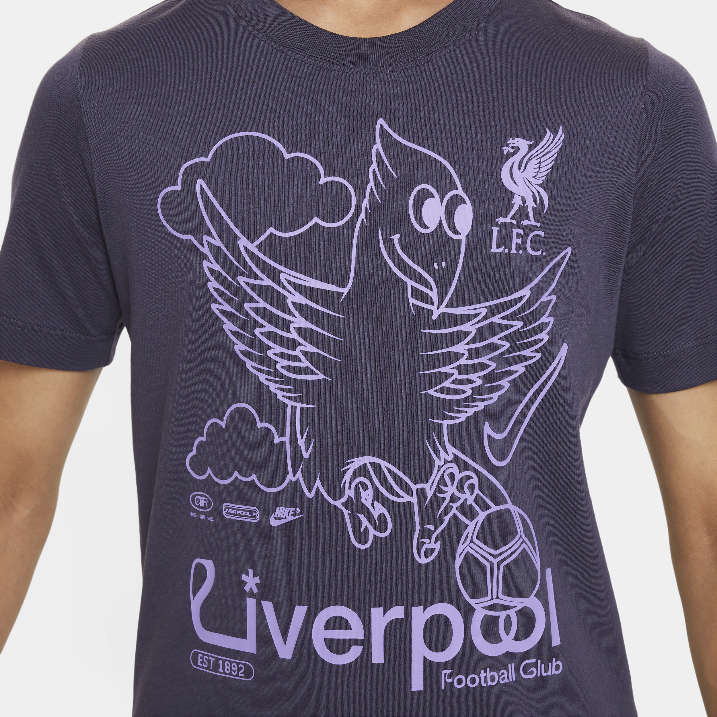 Nike Liverpool FC Air voetbalshirt voor kids Grijs