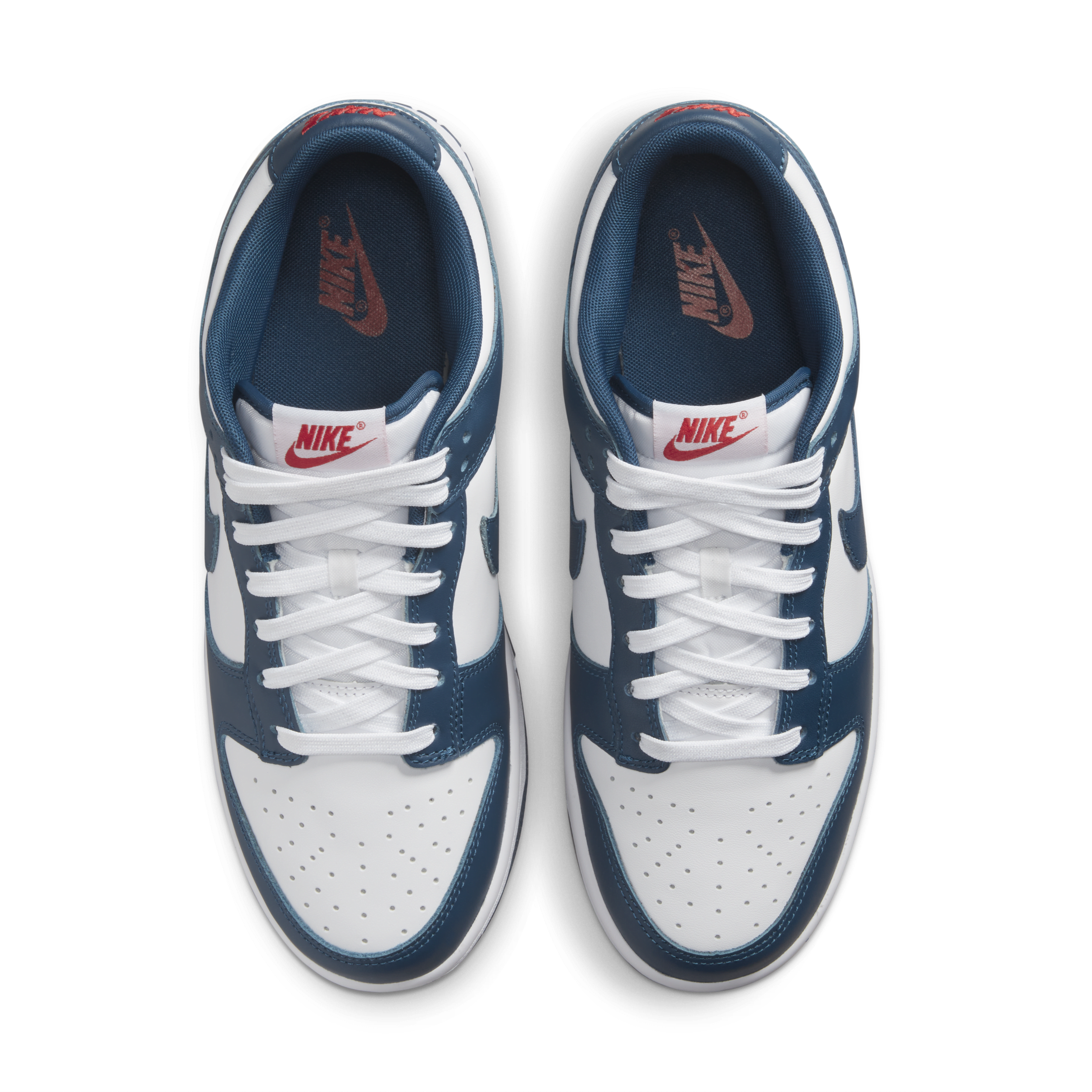 Chaussure Nike Dunk Low Retro pour Homme - Bleu