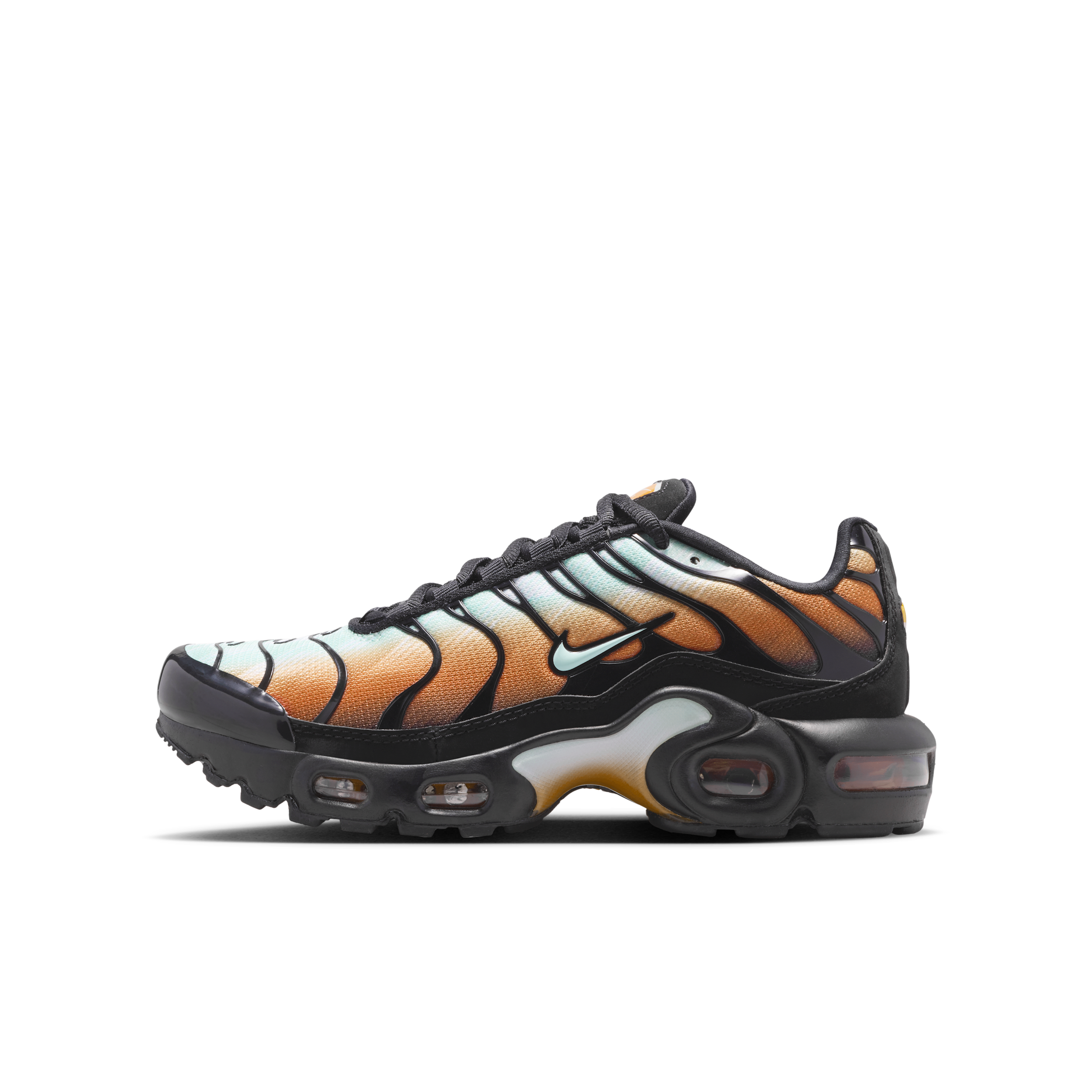 Nike Air Max Plus SE, Svart
