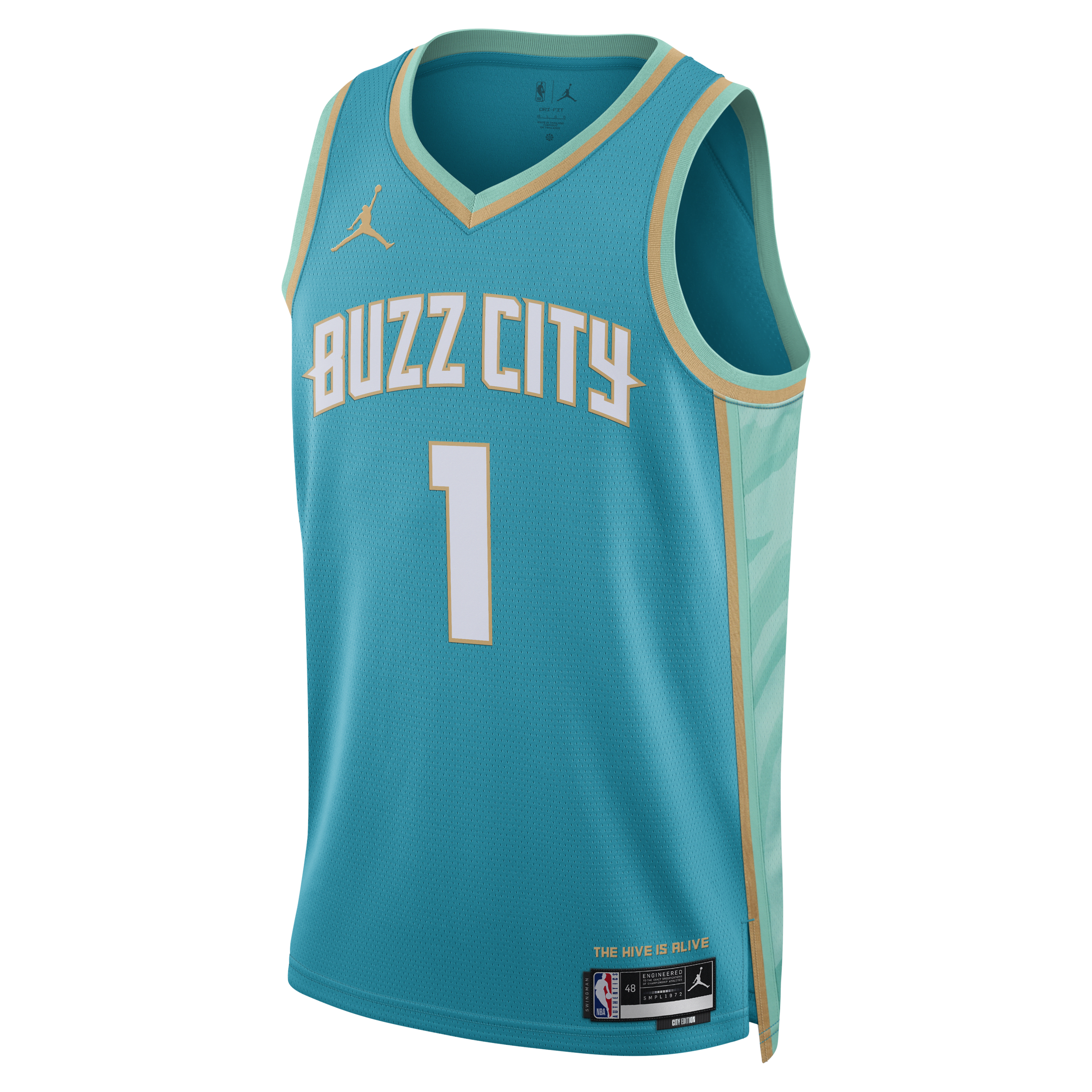 Nike Lamelo Ball Charlotte Hornets City Edition 2023/24 Jordan Dri-FIT NBA Swingman-trøje til mænd - blå