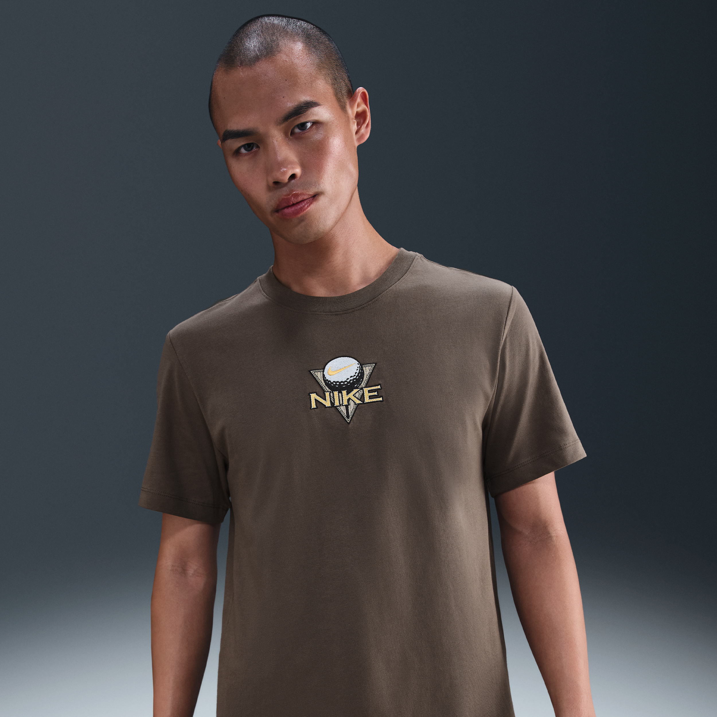 【ナイキ(NIKE)公式ストア】ナイキ メンズ ゴルフ Tシャツ HJ3333-004 ブラウン 【ナイキ(NIKE)公式ストア】ナイキ メンズ ゴルフ Tシャツ HJ3333-004 ブラウン