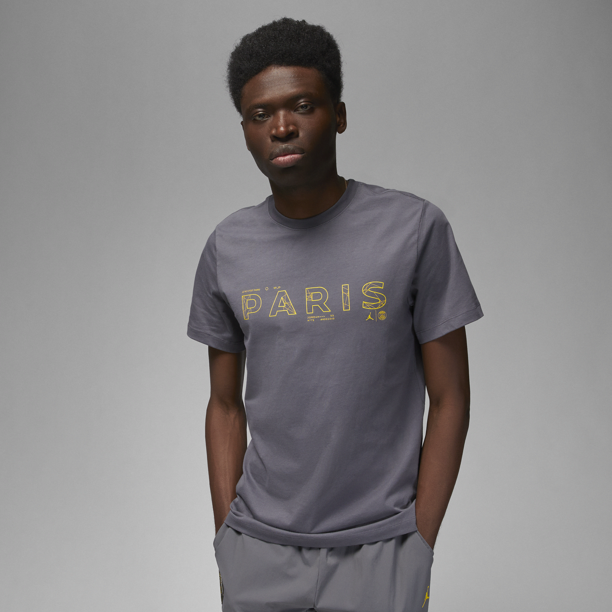 Nike Paris Saint-Germain-T-shirt til mænd - grå