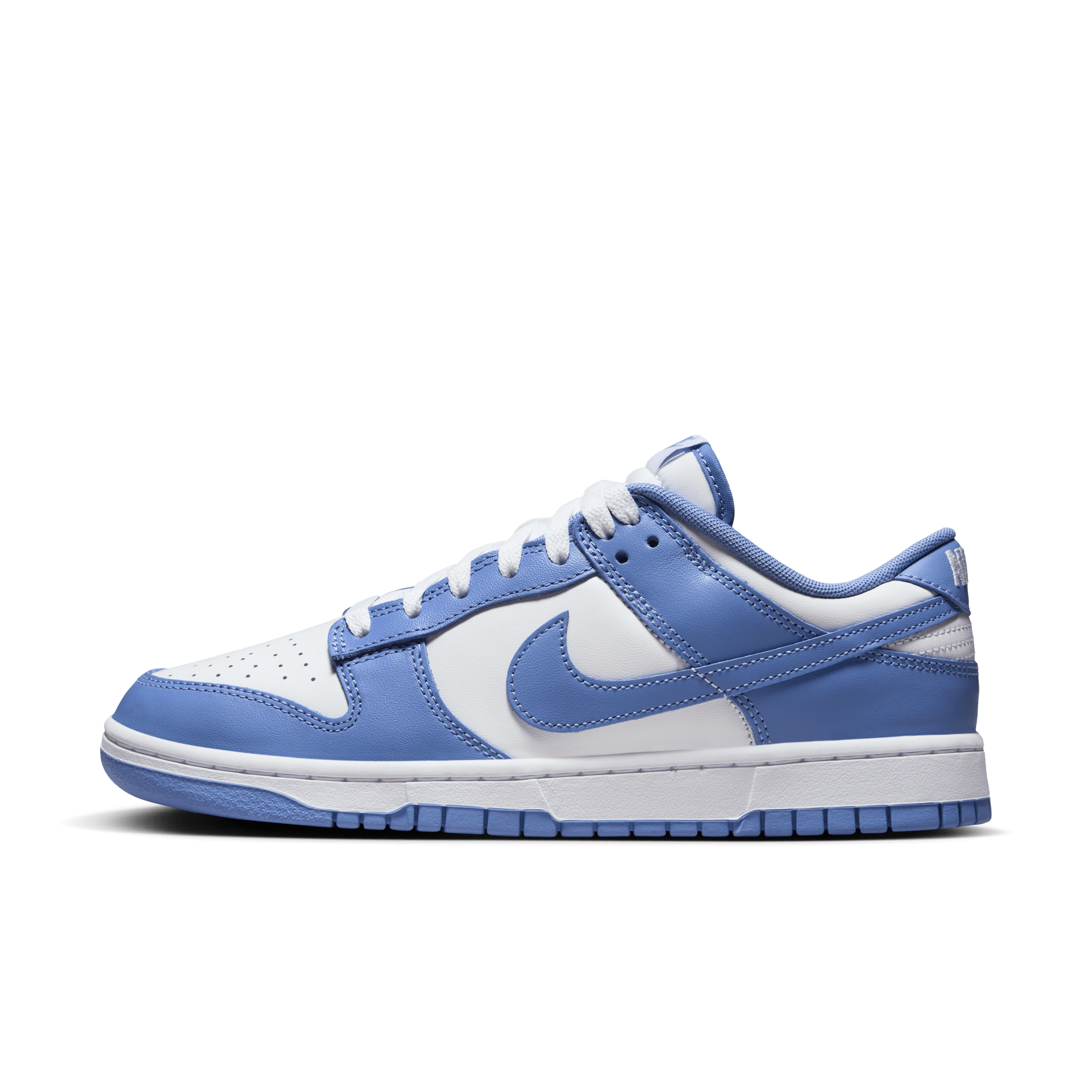 Nike Dunk Low Retro-sko til mænd - blå