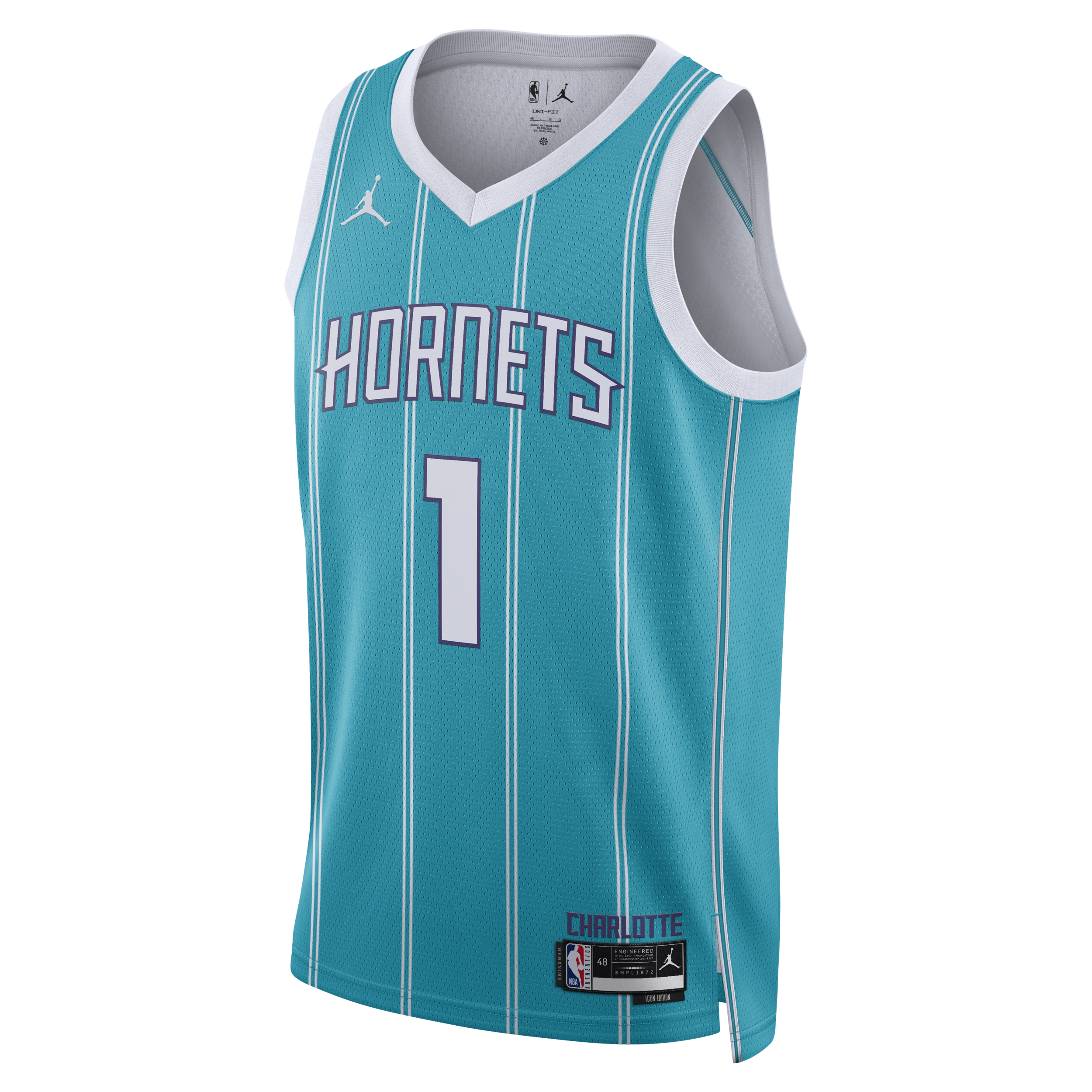 Nike Charlotte Hornets Icon Edition 2022/23 Jordan Swingman Dri-FIT NBA-jersey voor heren - Blauw