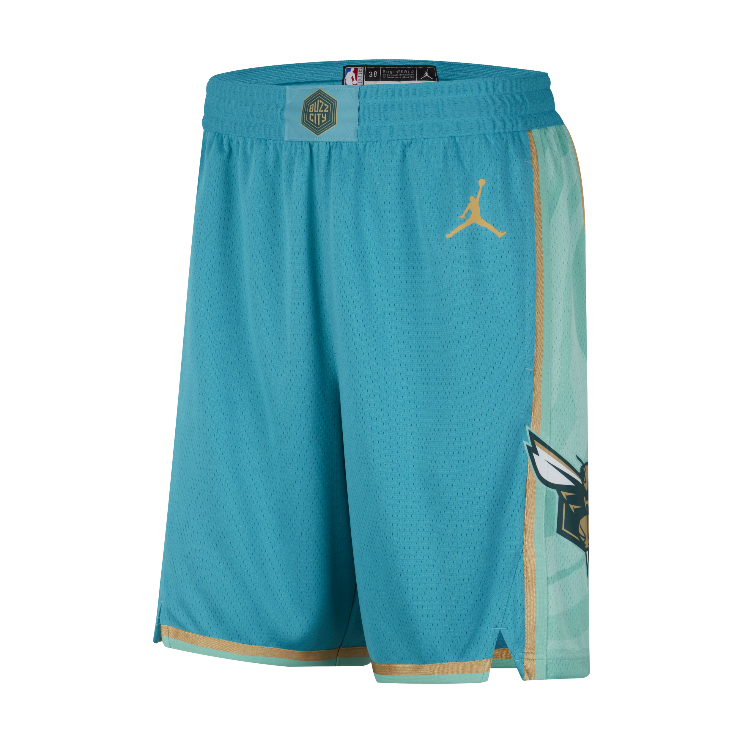 Nike Shorts Charlotte Hornets 2023/24 City Edition Jordan Dri-FIT Swingman NBA – Uomo - Blu