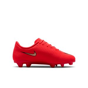 Chaussures de football enfant Nike Mercurial Vapor 17 Club FG/AG, vue 4