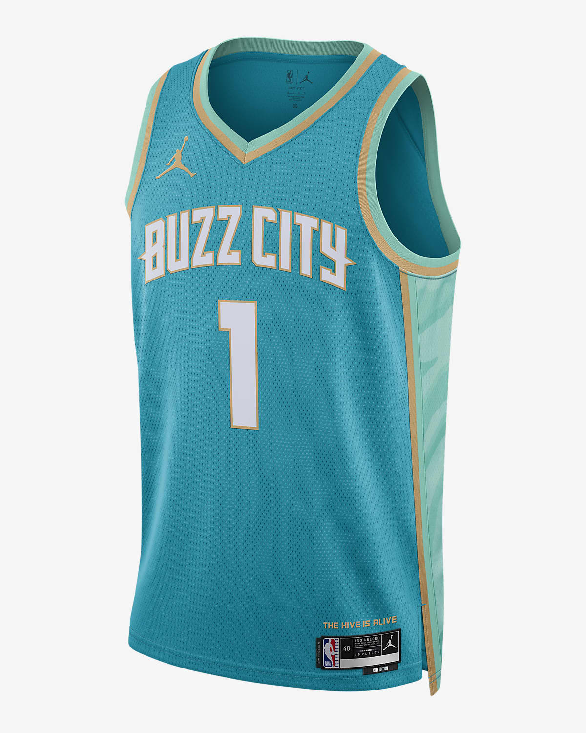 Nike Lamelo Ball Charlotte City Edition 2023/24 DX8496415