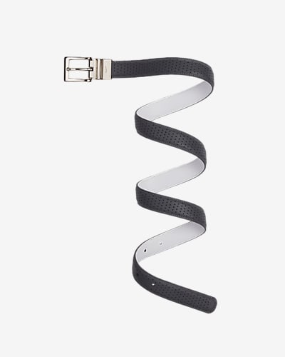 tw perforated mesh ii