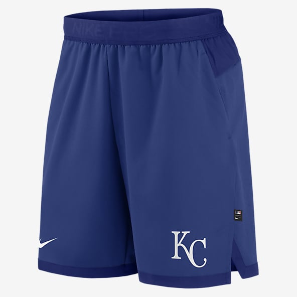 Mens nike baseball shop shorts