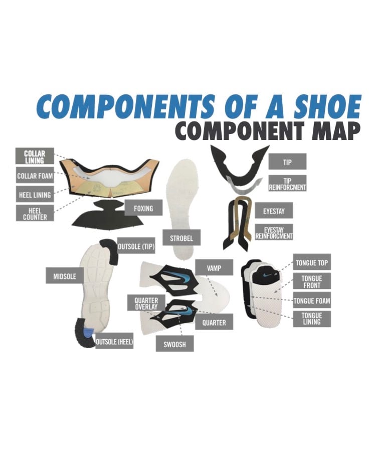 Shoe Anatomy 101: What Are The Parts Of A | arnoticias.tv