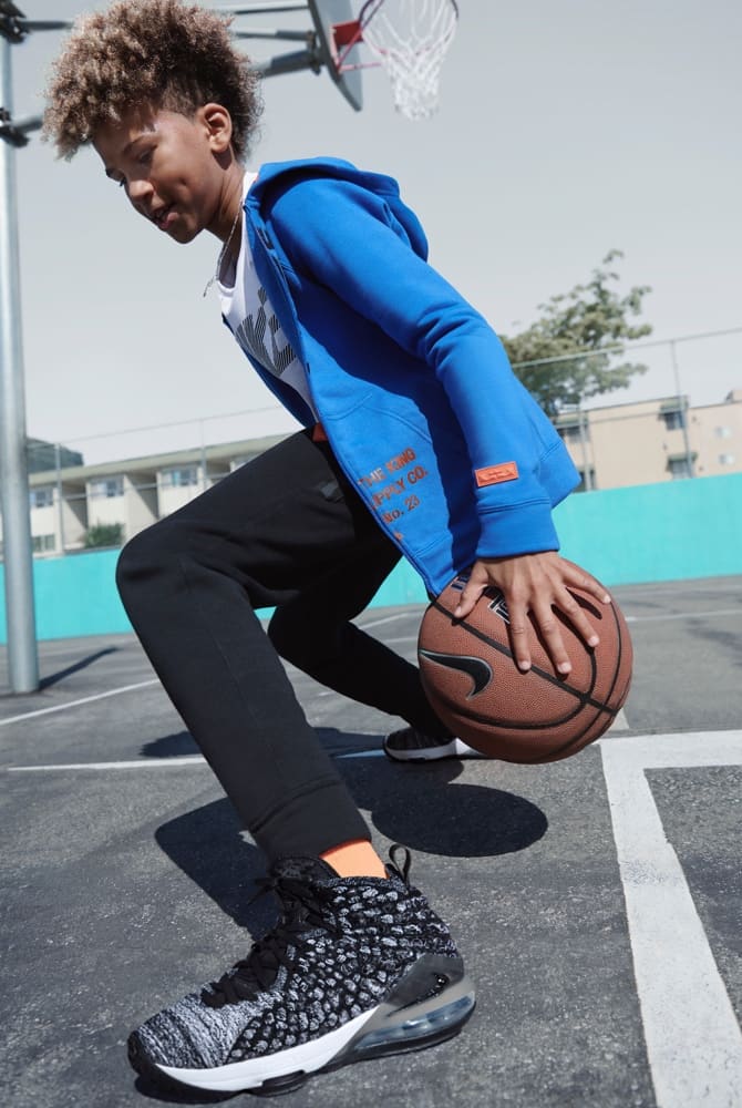 basketball shoe lebron 17